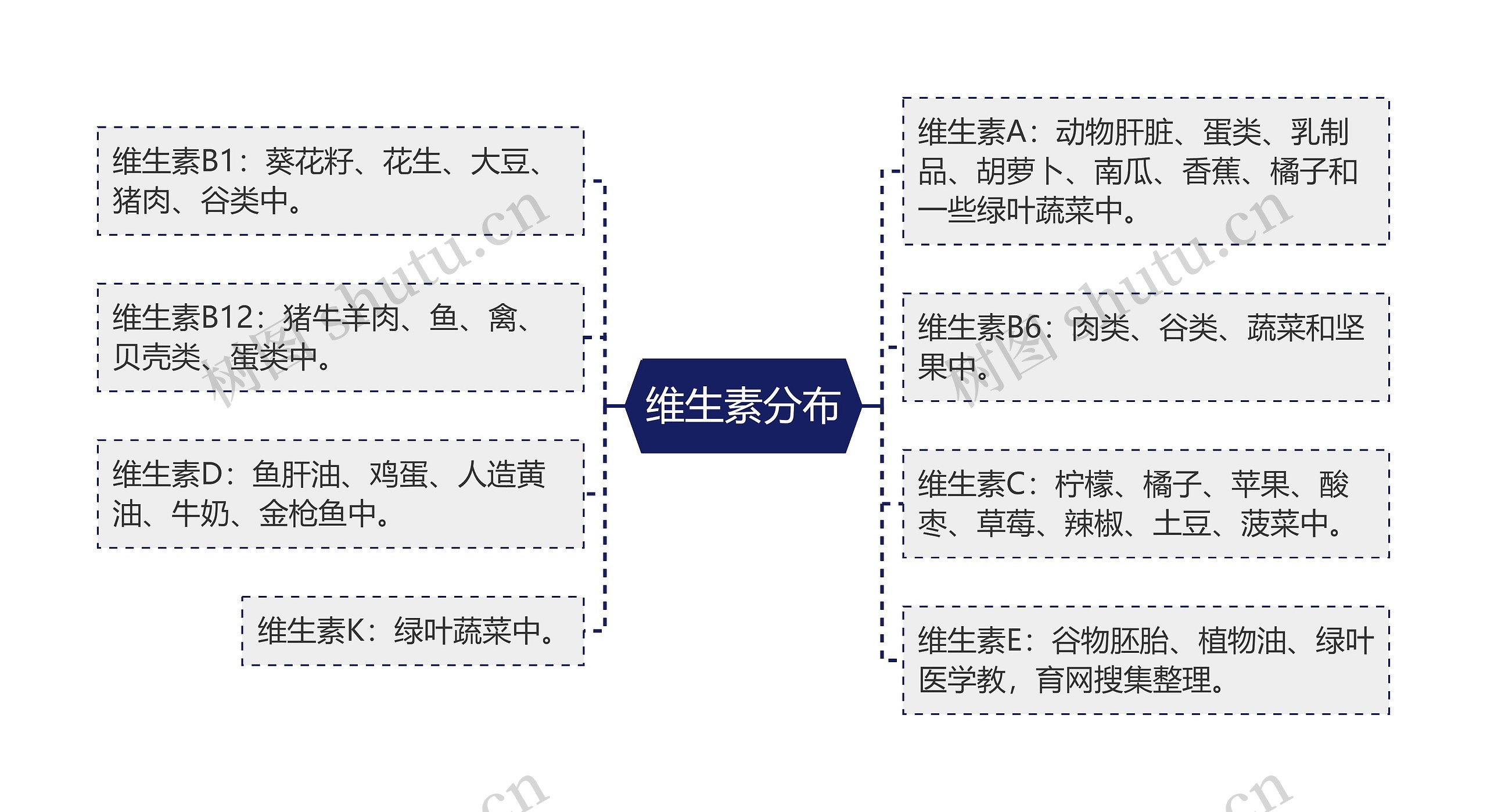 维生素分布思维导图