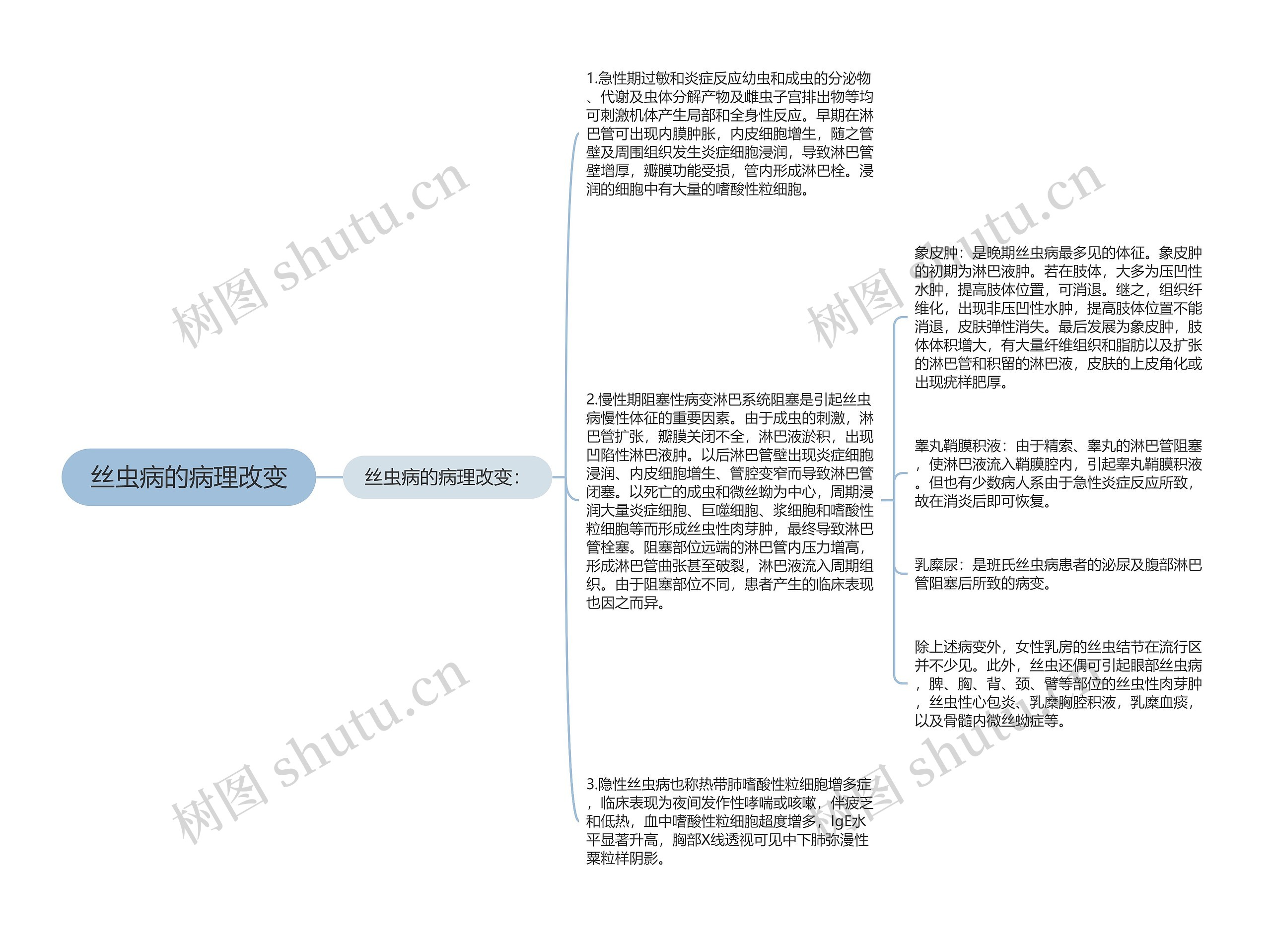 丝虫病的病理改变