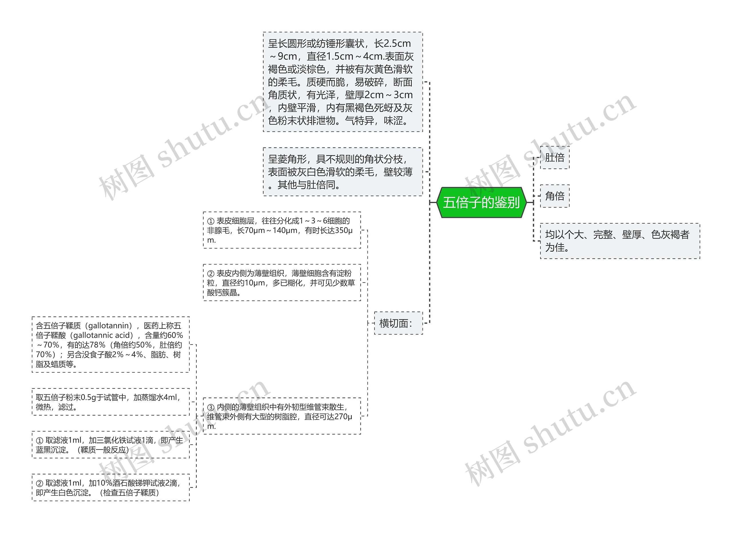 五倍子的鉴别思维导图