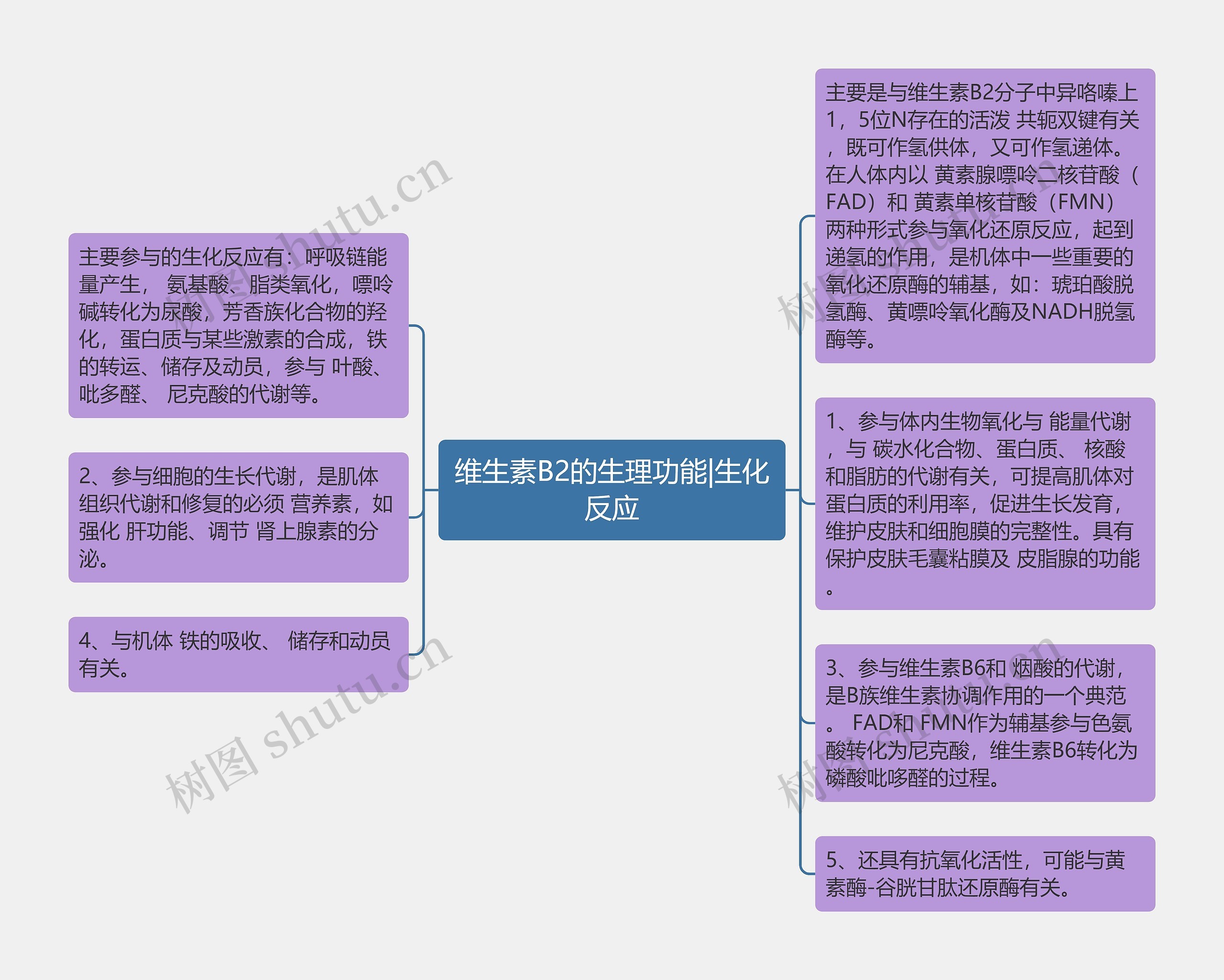 维生素B2的生理功能|生化反应