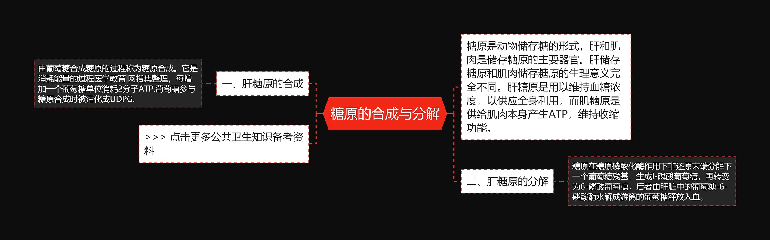 糖原的合成与分解