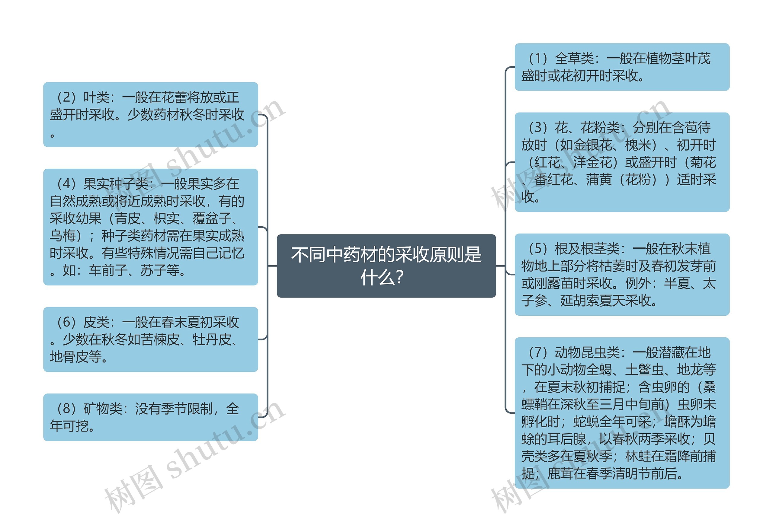 不同中药材的采收原则是什么？思维导图