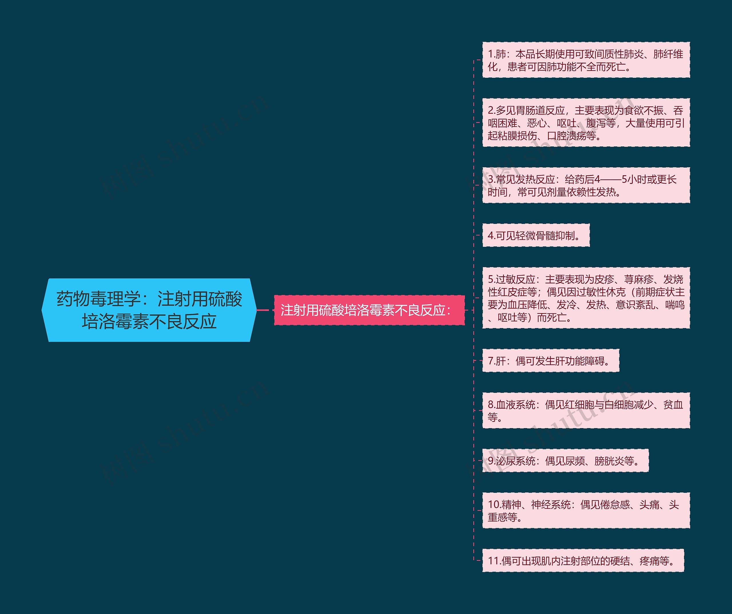 药物毒理学：注射用硫酸培洛霉素不良反应思维导图