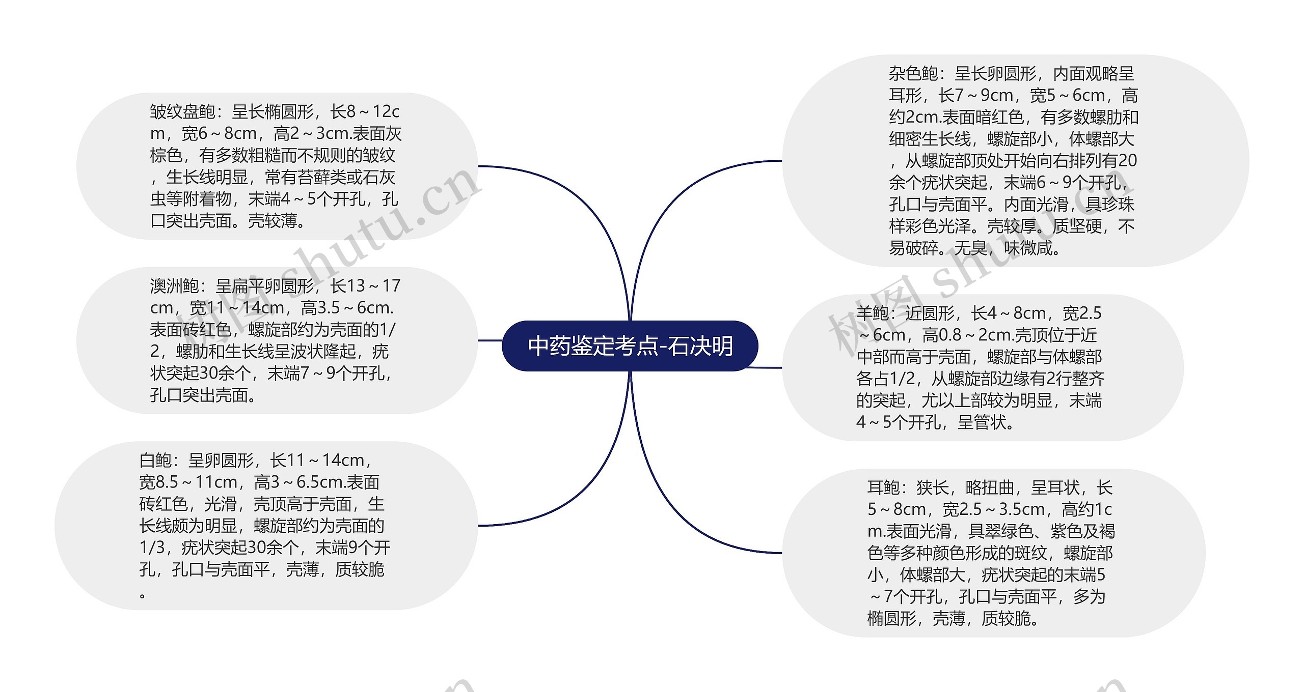 中药鉴定考点-石决明思维导图