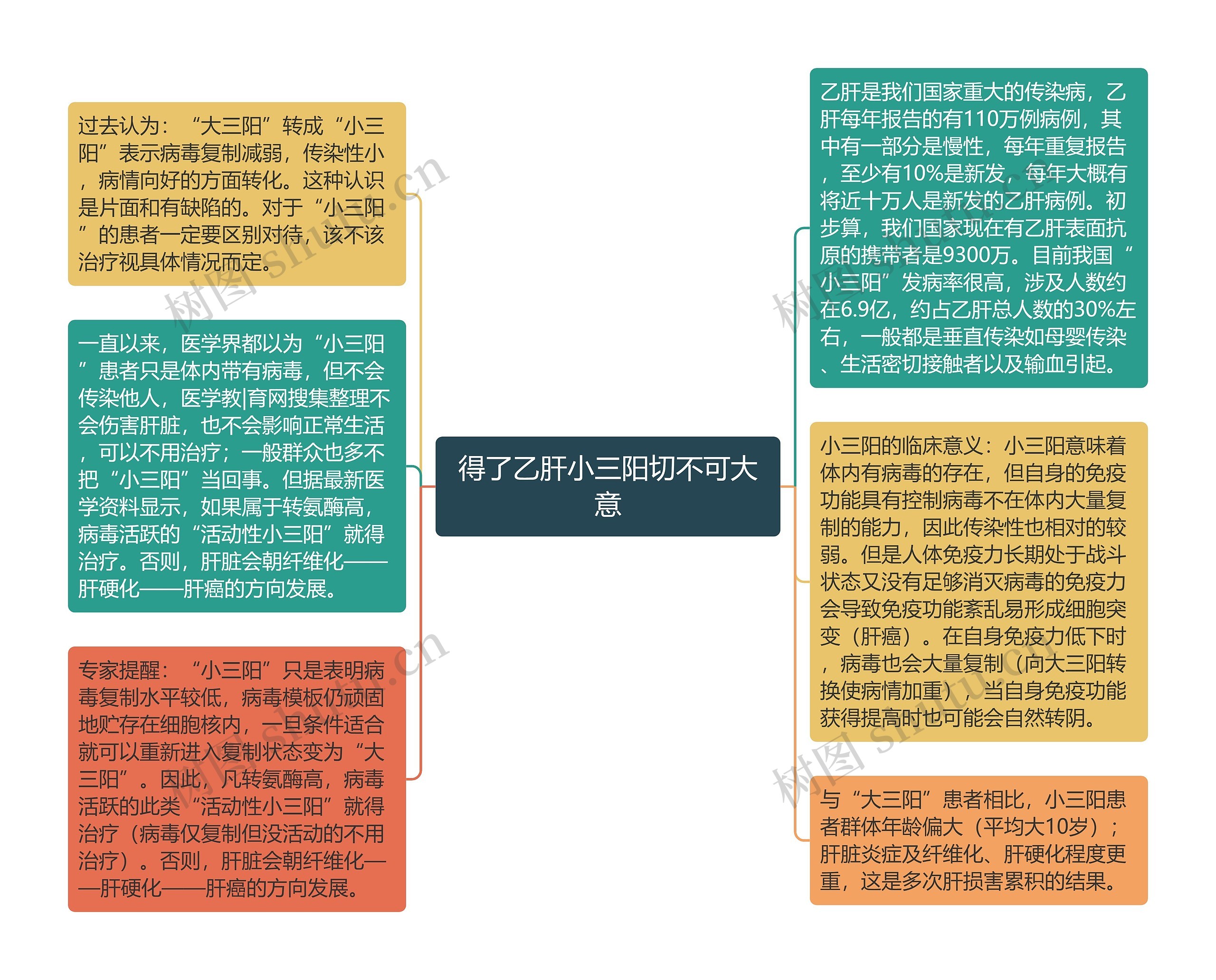 得了乙肝小三阳切不可大意思维导图