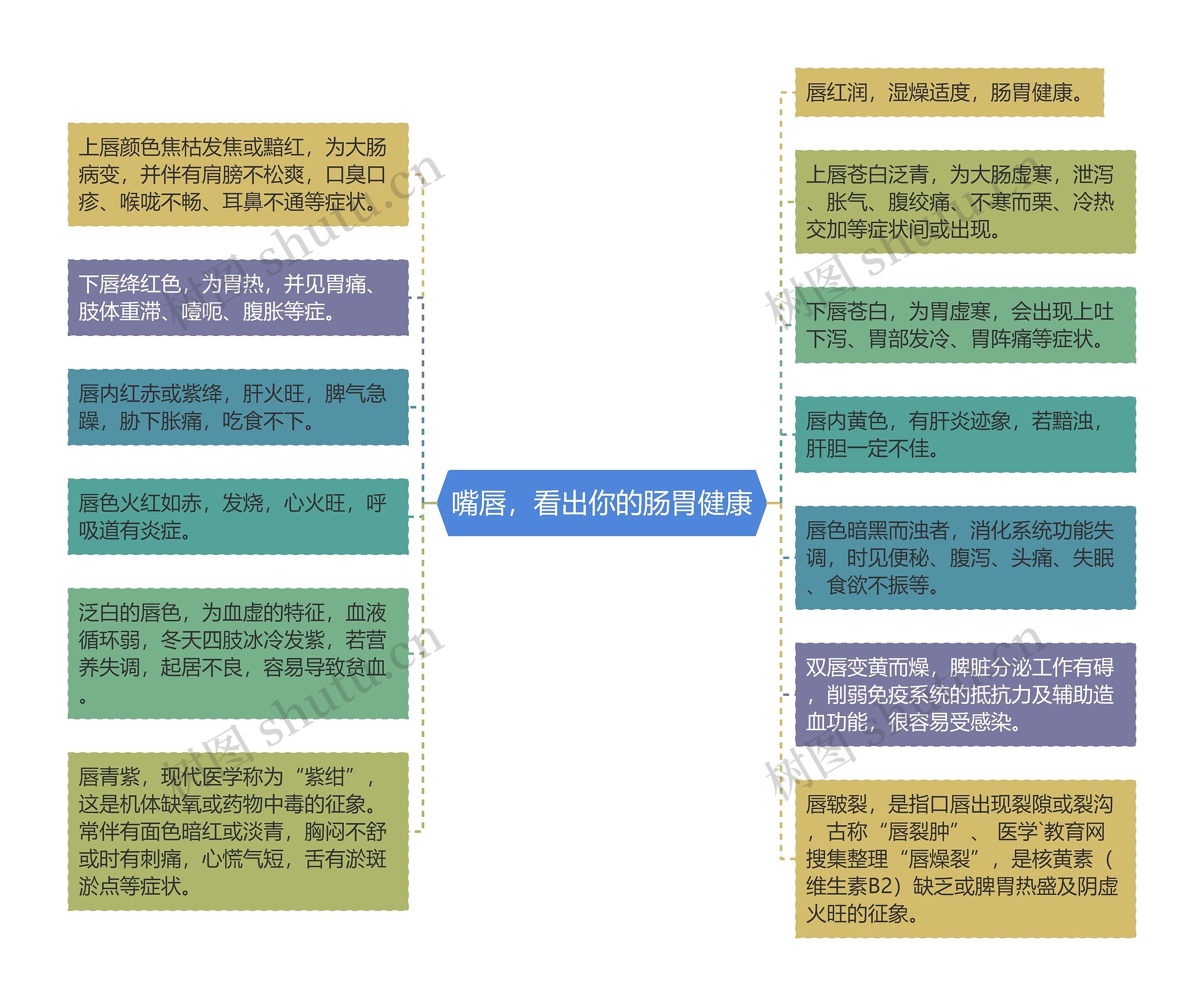 嘴唇，看出你的肠胃健康思维导图