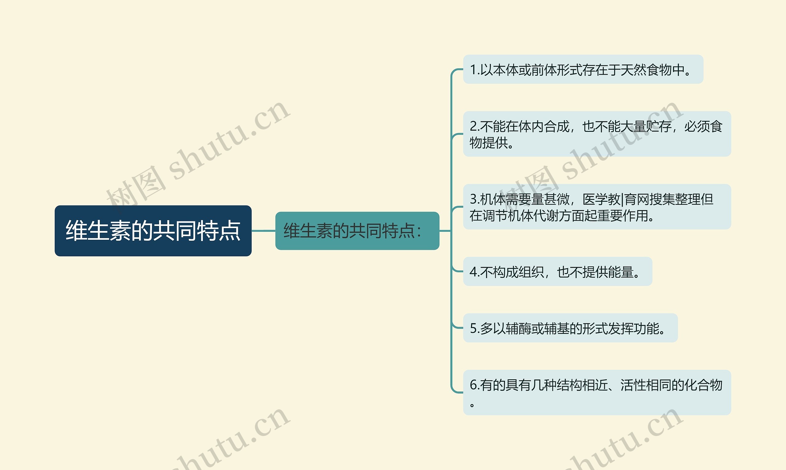 维生素的共同特点思维导图