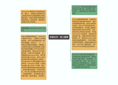 药物化学：肾上腺素