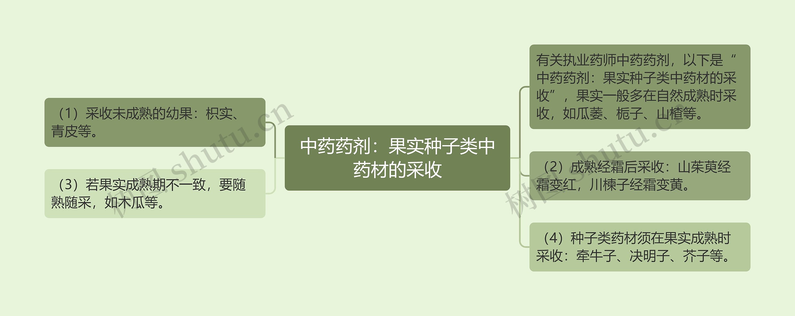 中药药剂：果实种子类中药材的采收思维导图