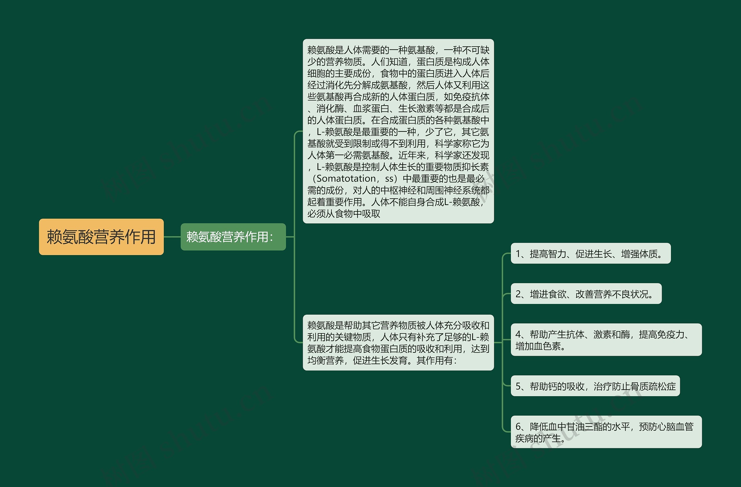 赖氨酸营养作用思维导图