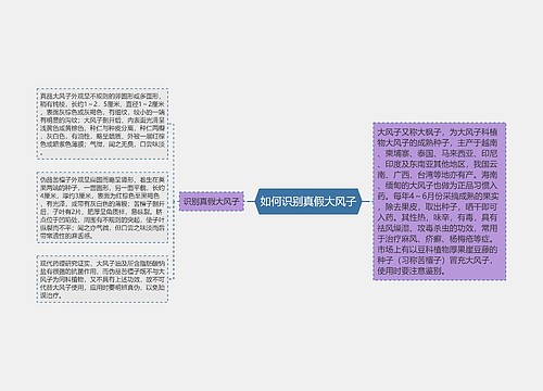 如何识别真假大风子