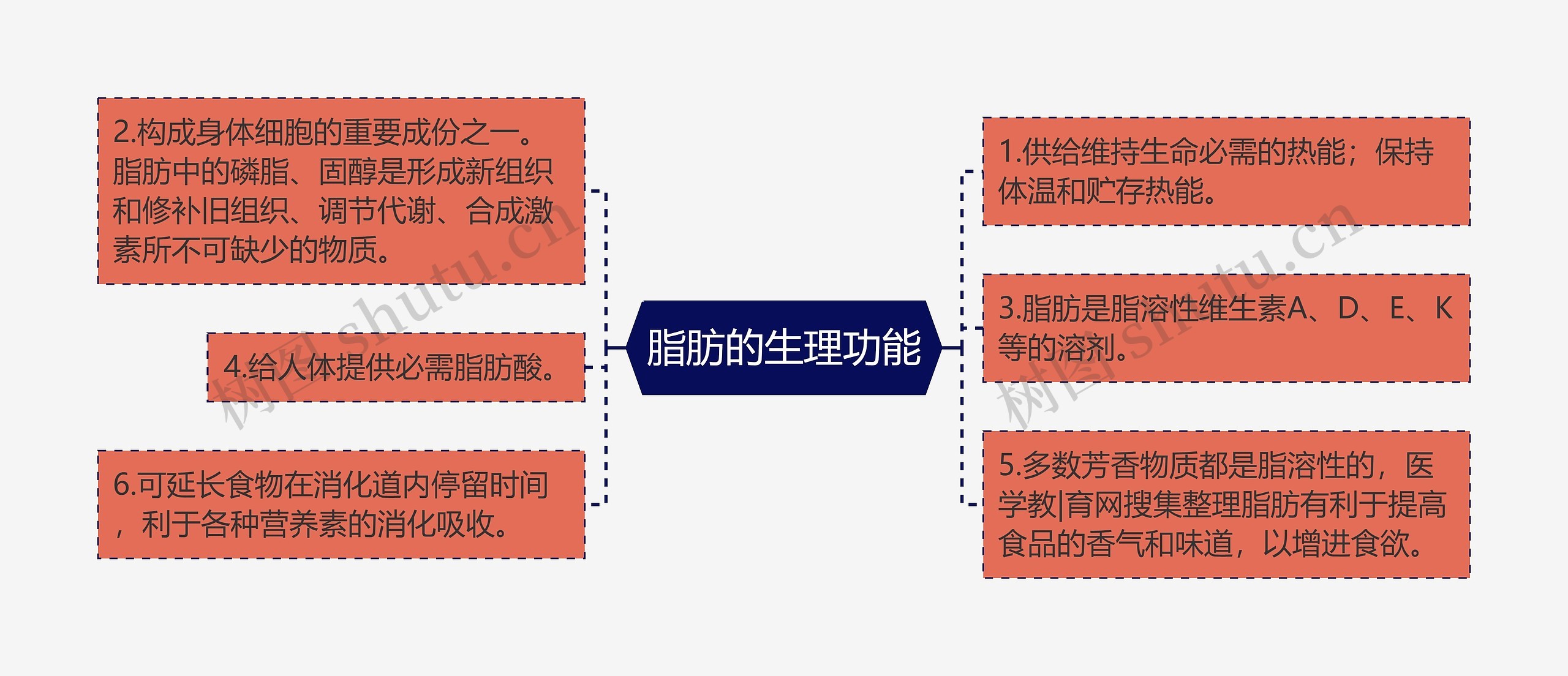 脂肪的生理功能思维导图