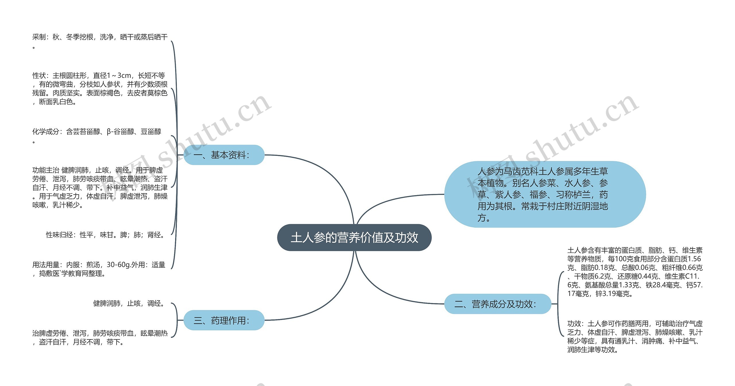 土人参的营养价值及功效