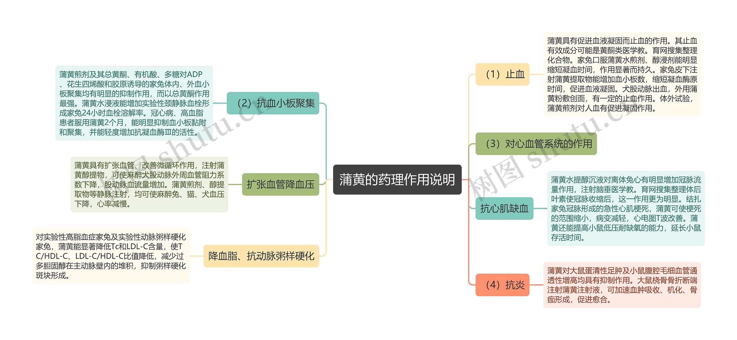 蒲黄的药理作用说明思维导图