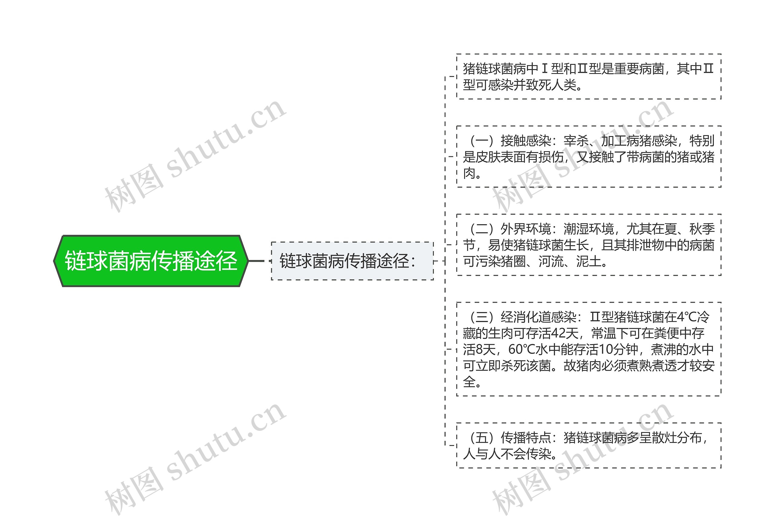 链球菌病传播途径