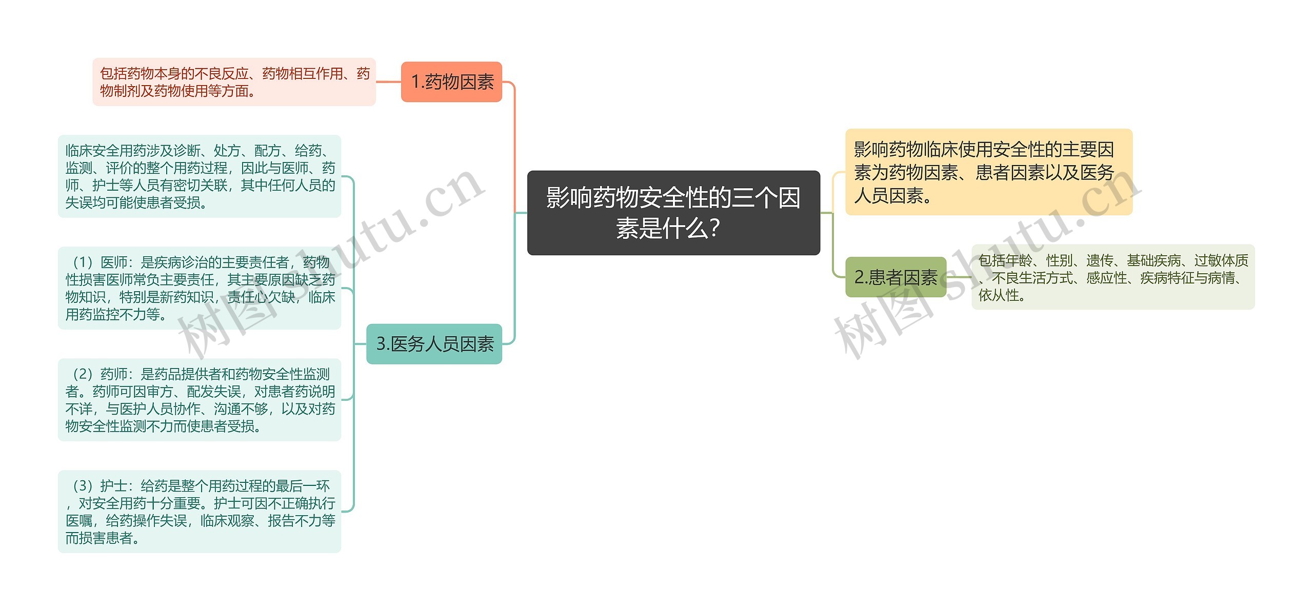 影响药物安全性的三个因素是什么？思维导图