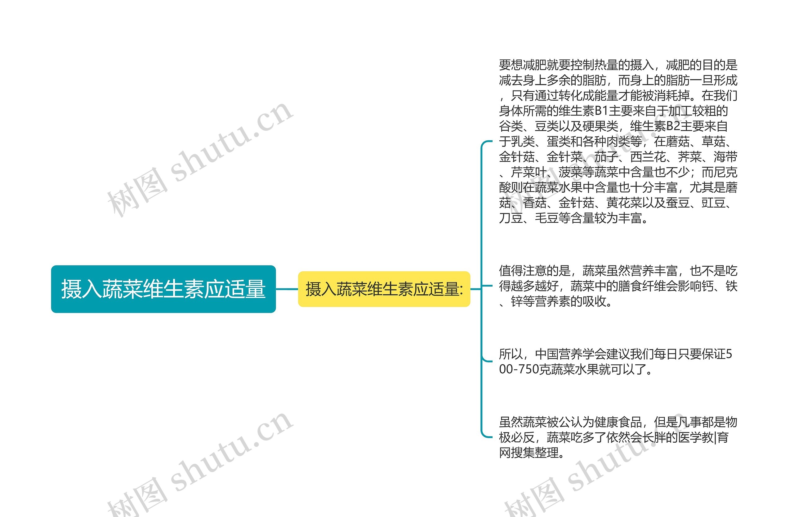 摄入蔬菜维生素应适量思维导图