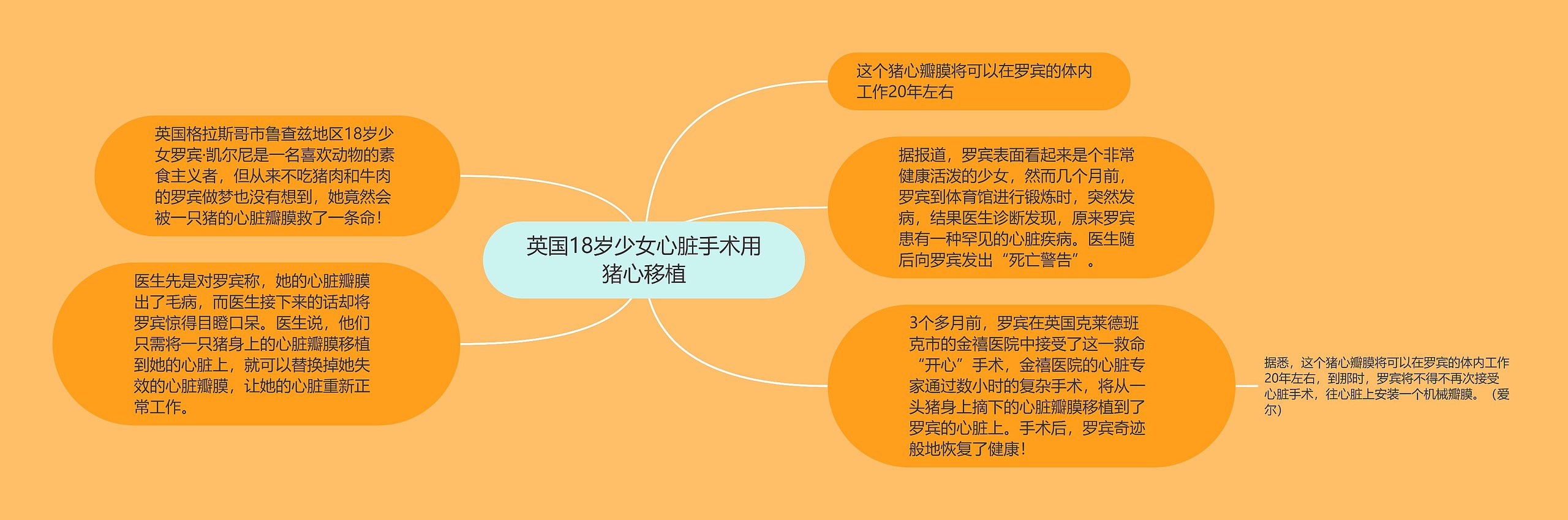 英国18岁少女心脏手术用猪心移植