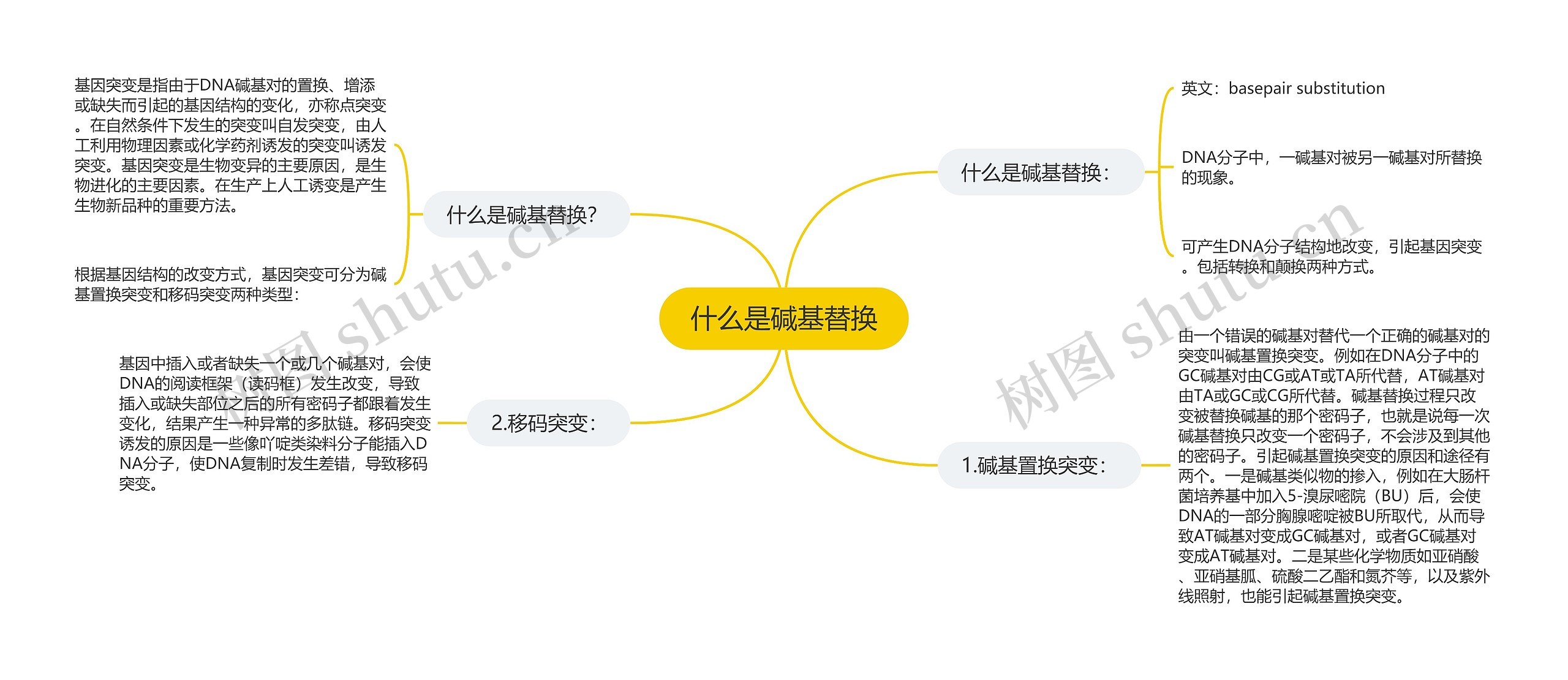 什么是碱基替换 什么是碱基替换