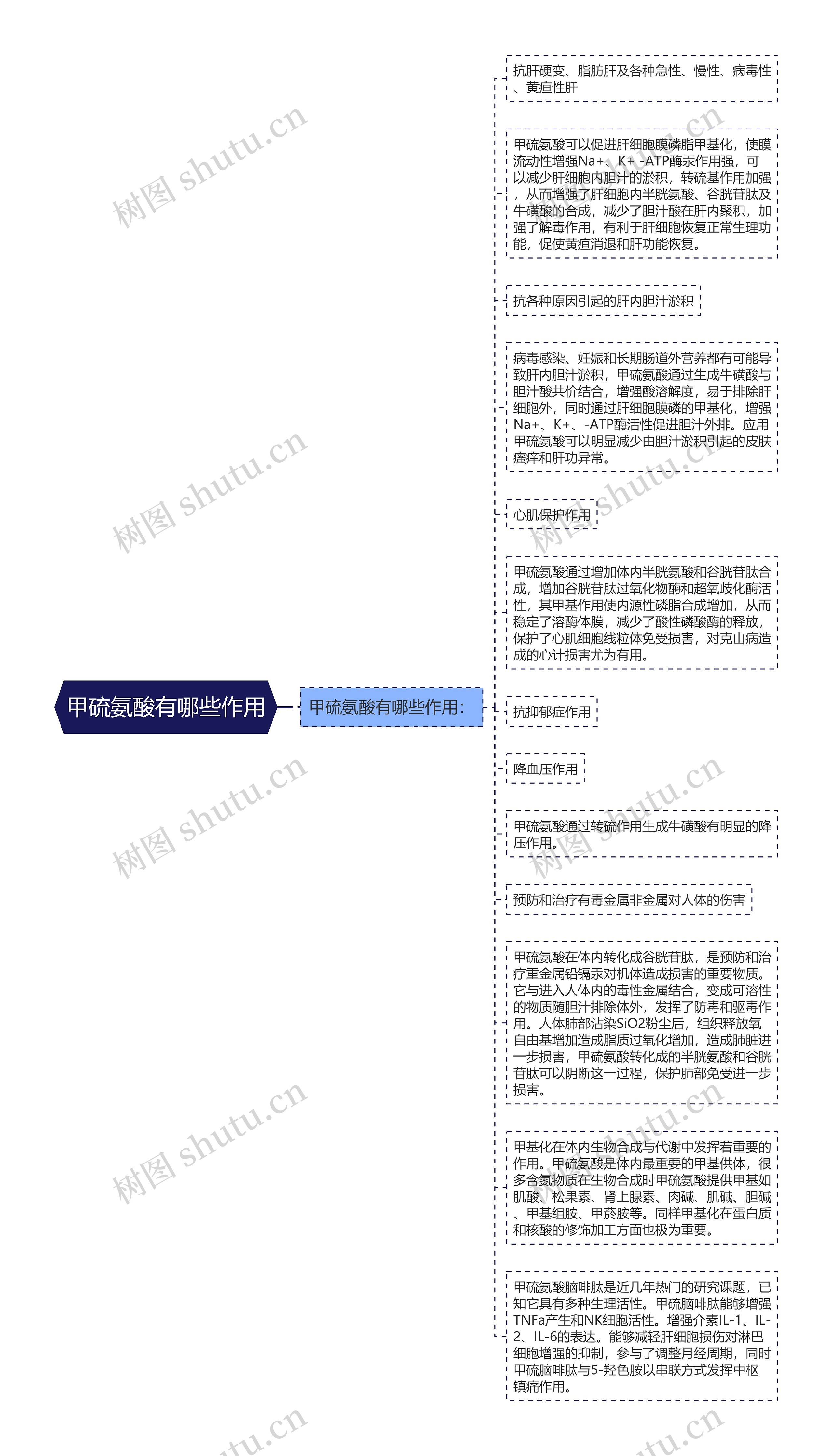 甲硫氨酸有哪些作用