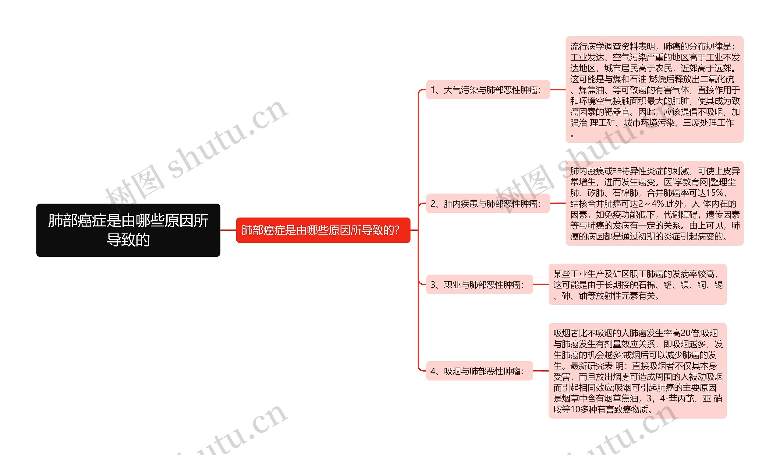 肺部癌症是由哪些原因所导致的思维导图