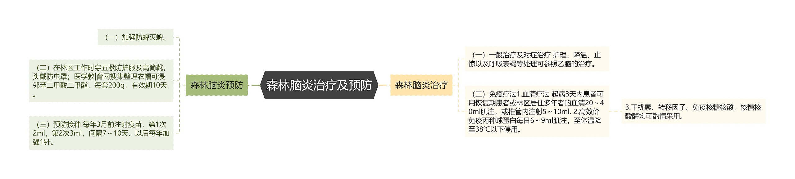 森林脑炎治疗及预防思维导图