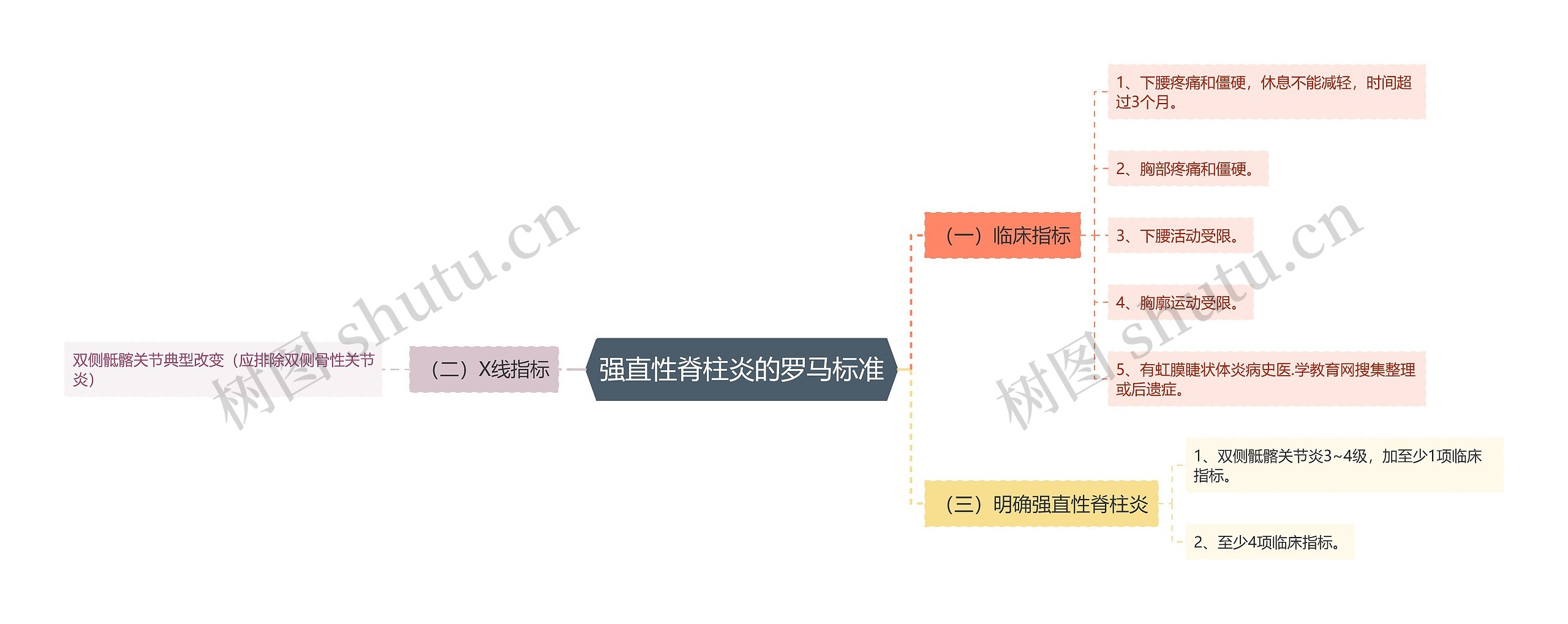 强直性脊柱炎的罗马标准