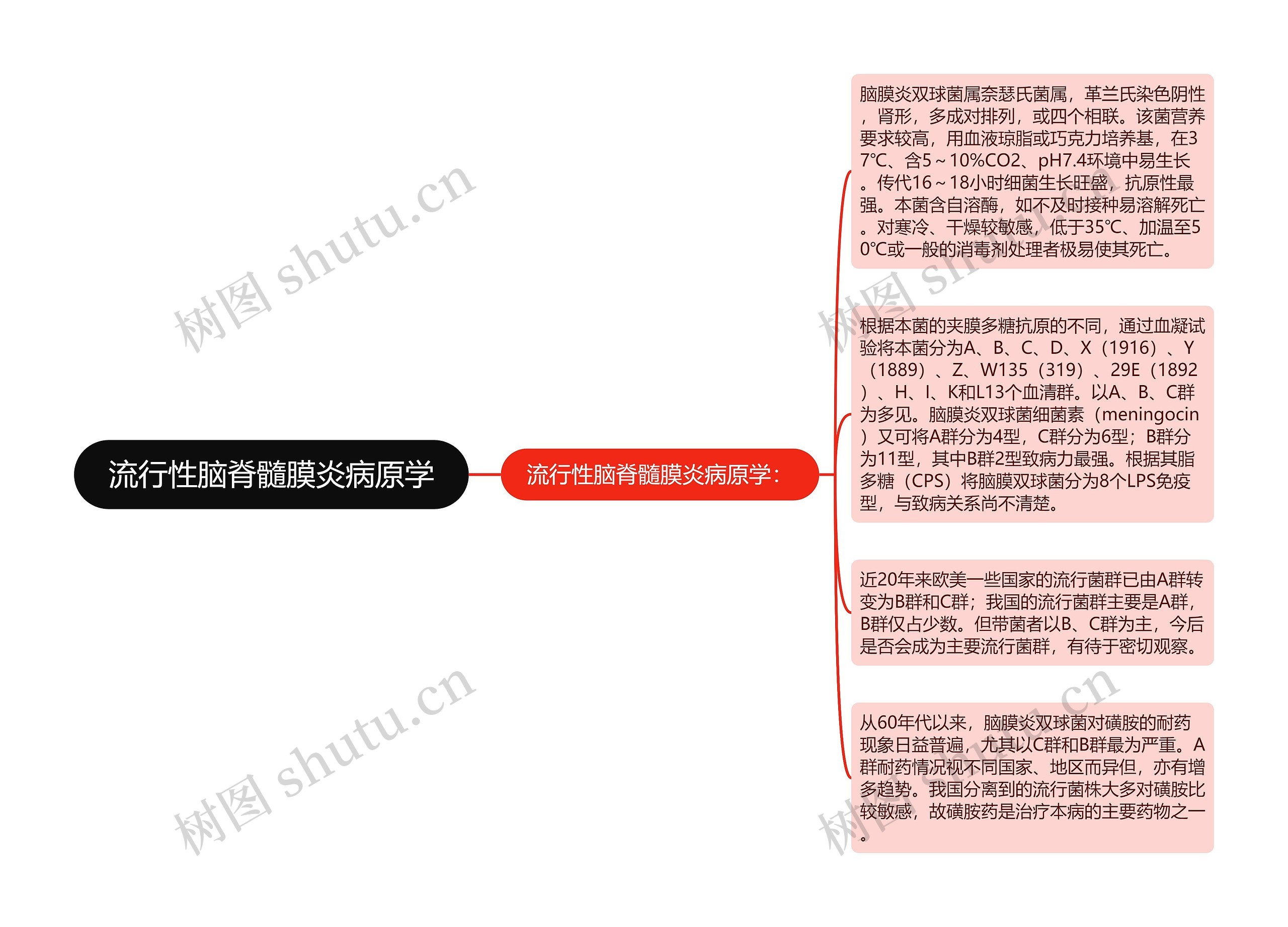 流行性脑脊髓膜炎病原学思维导图