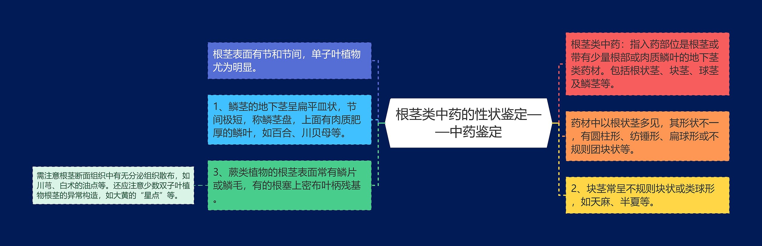 根茎类中药的性状鉴定——中药鉴定思维导图