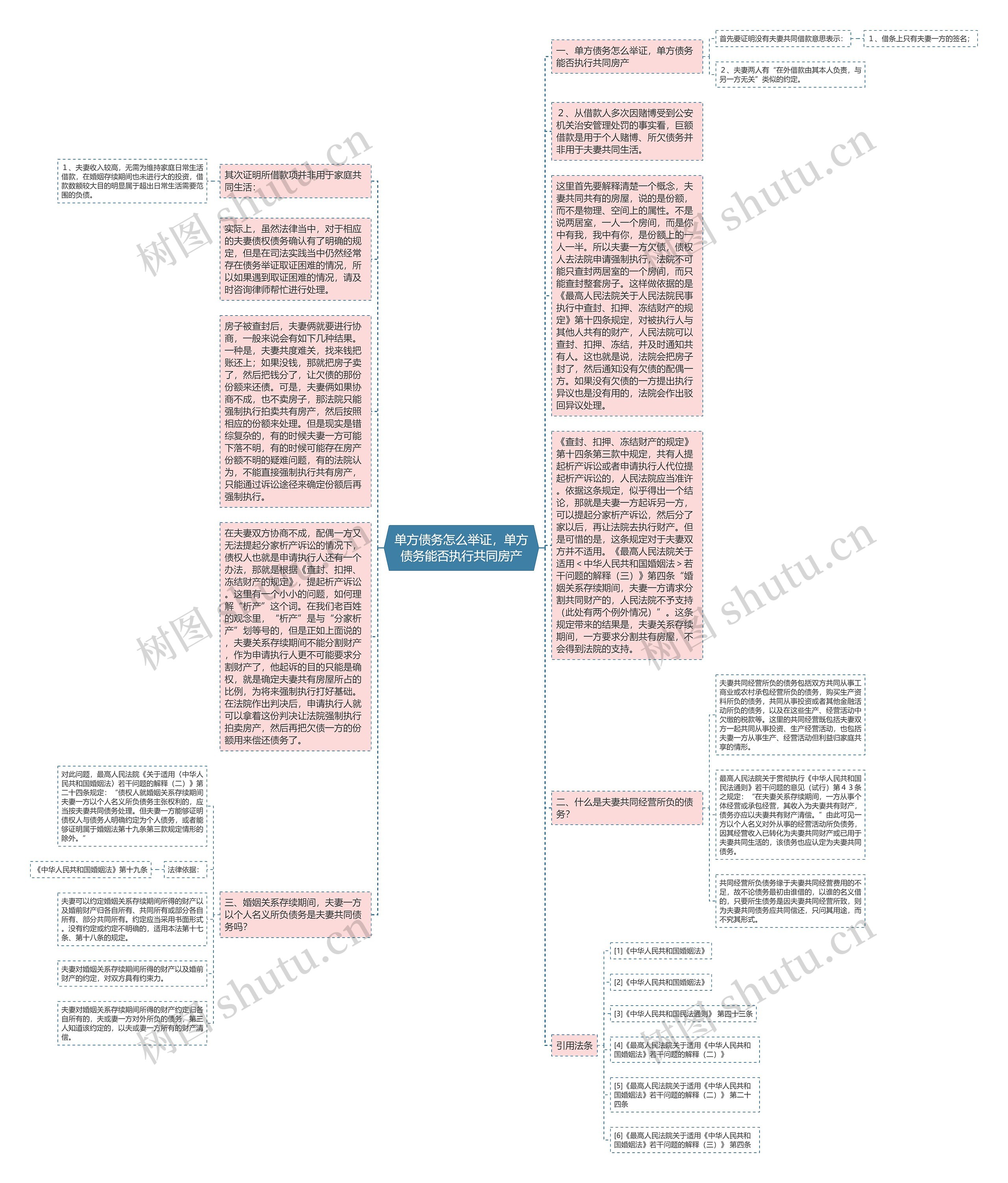 单方债务怎么举证，单方债务能否执行共同房产思维导图