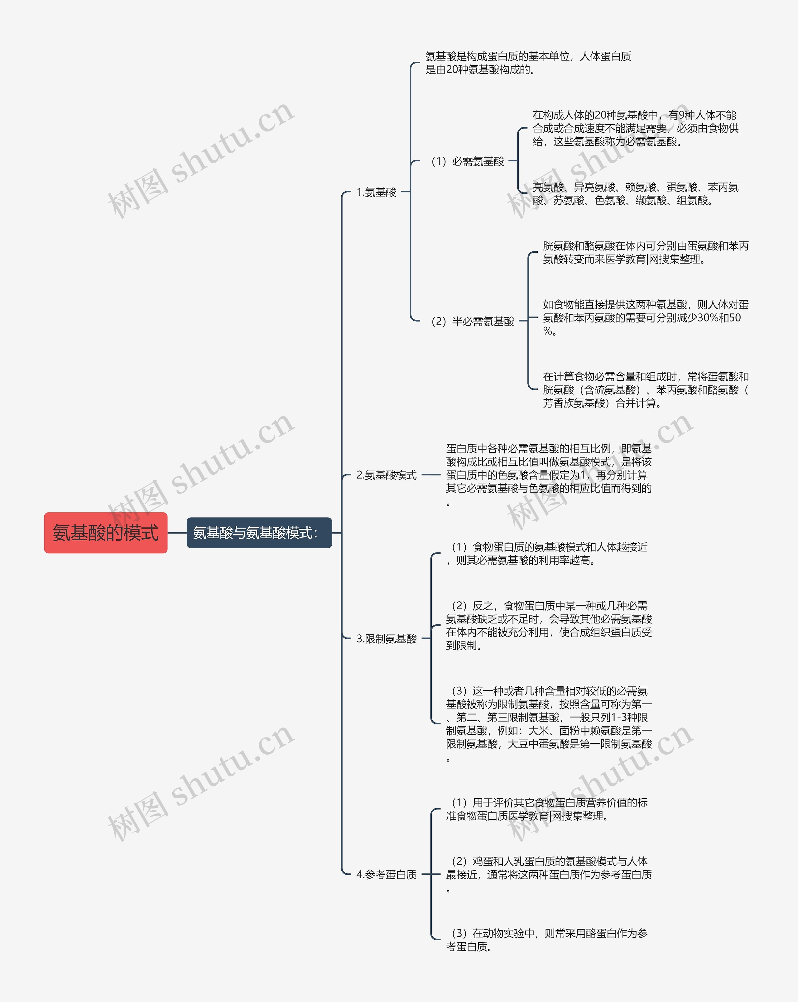 氨基酸的模式思维导图