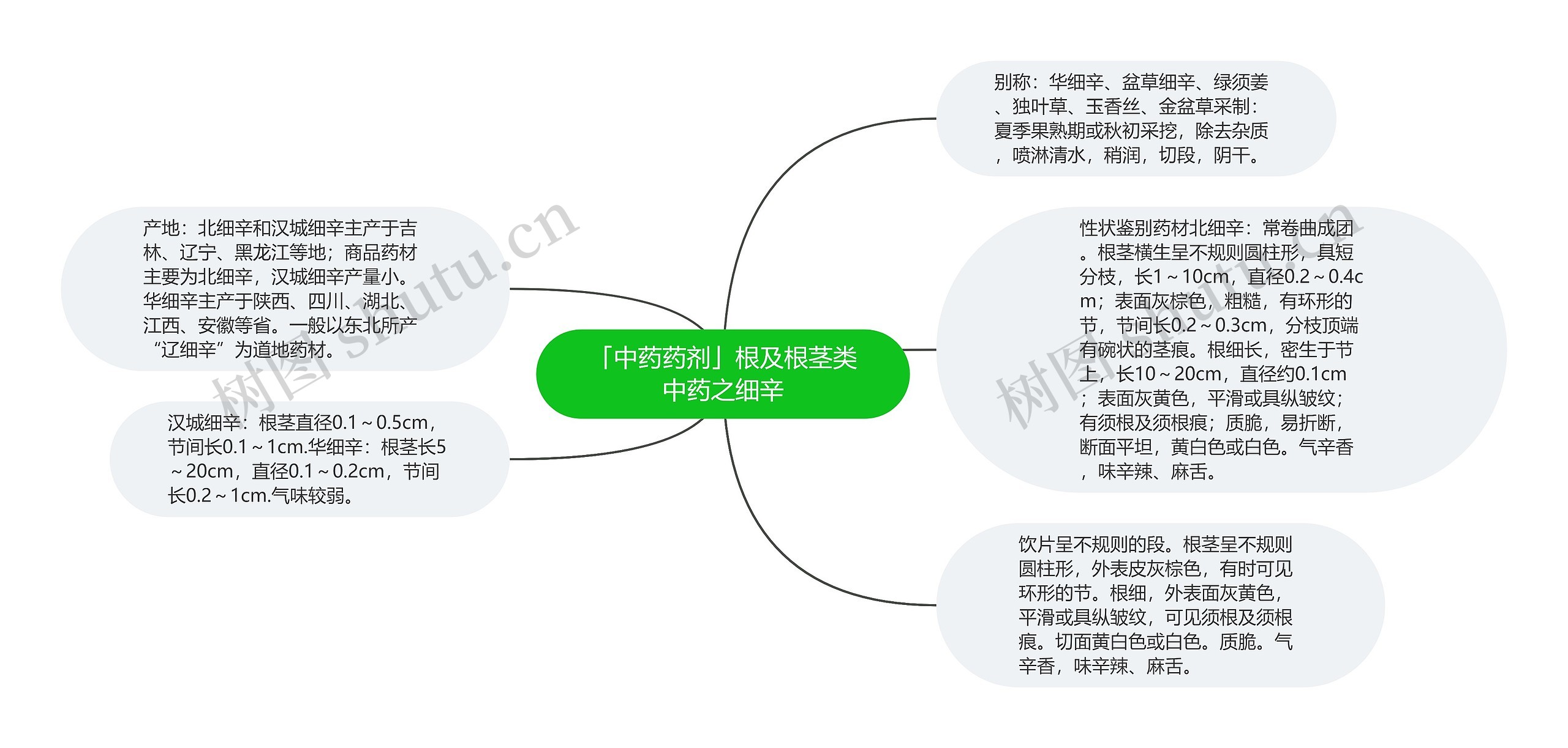 「中药药剂」根及根茎类中药之细辛思维导图