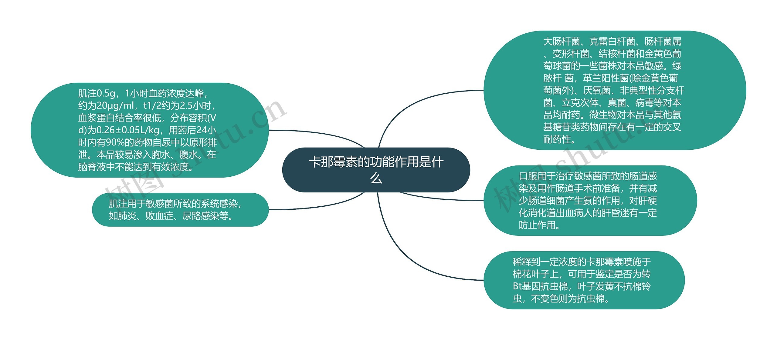 卡那霉素的功能作用是什么思维导图