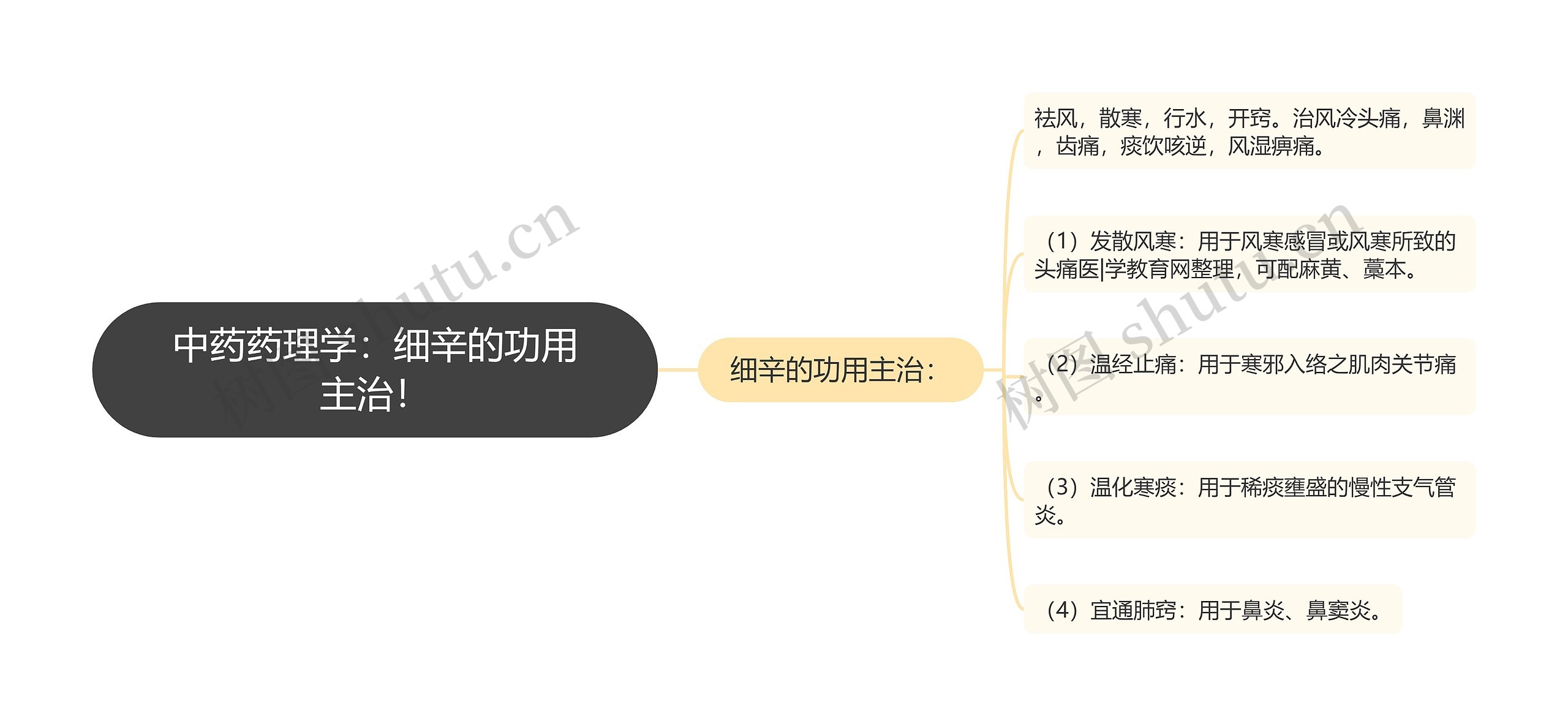 中药药理学：细辛的功用主治！思维导图