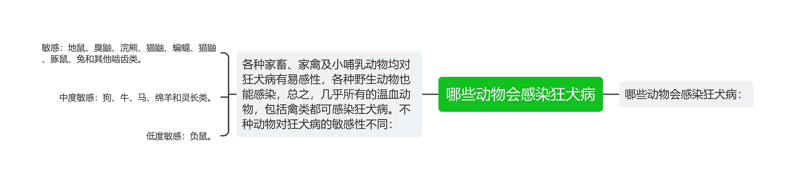 哪些动物会感染狂犬病思维导图