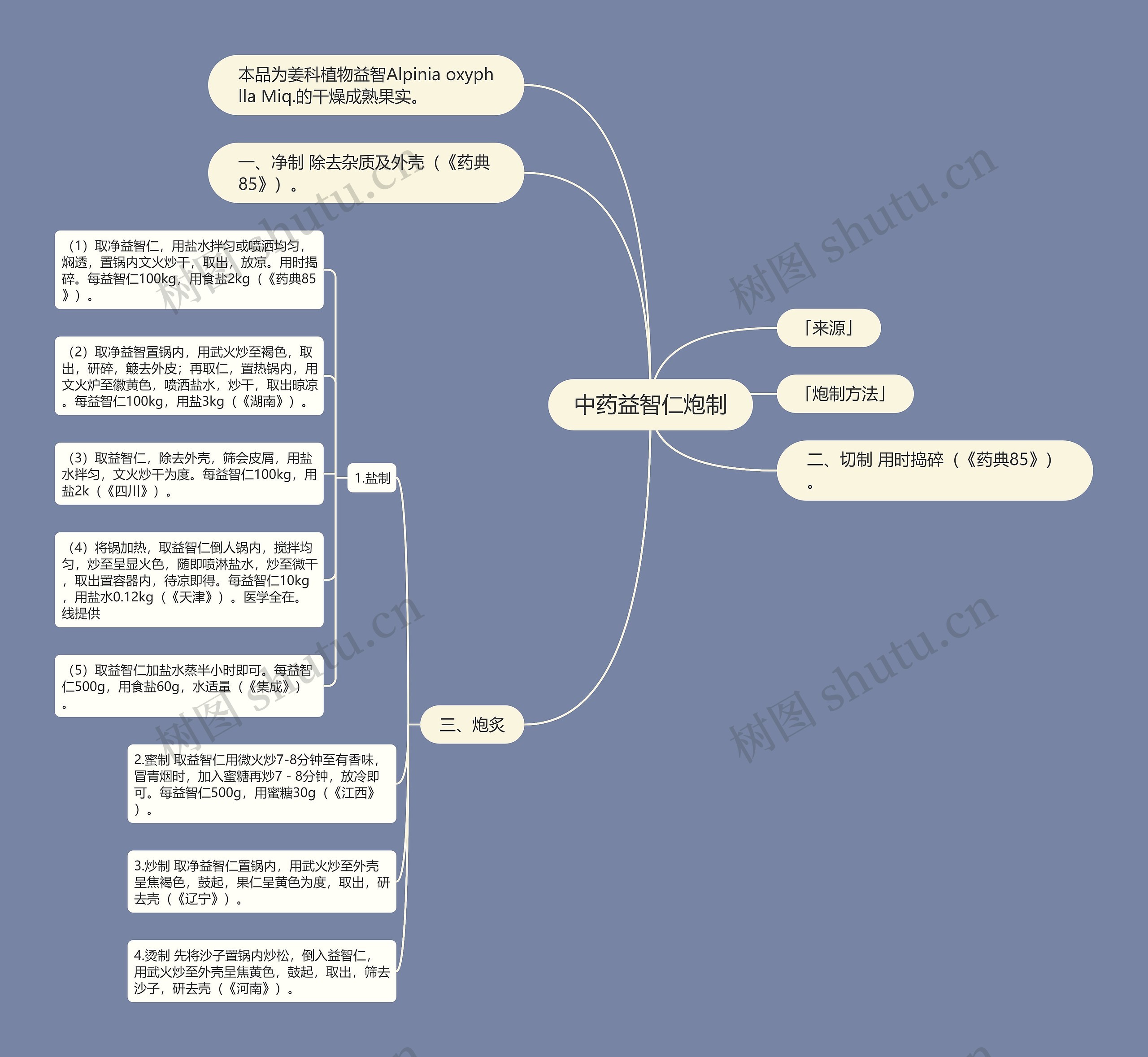 中药益智仁炮制思维导图