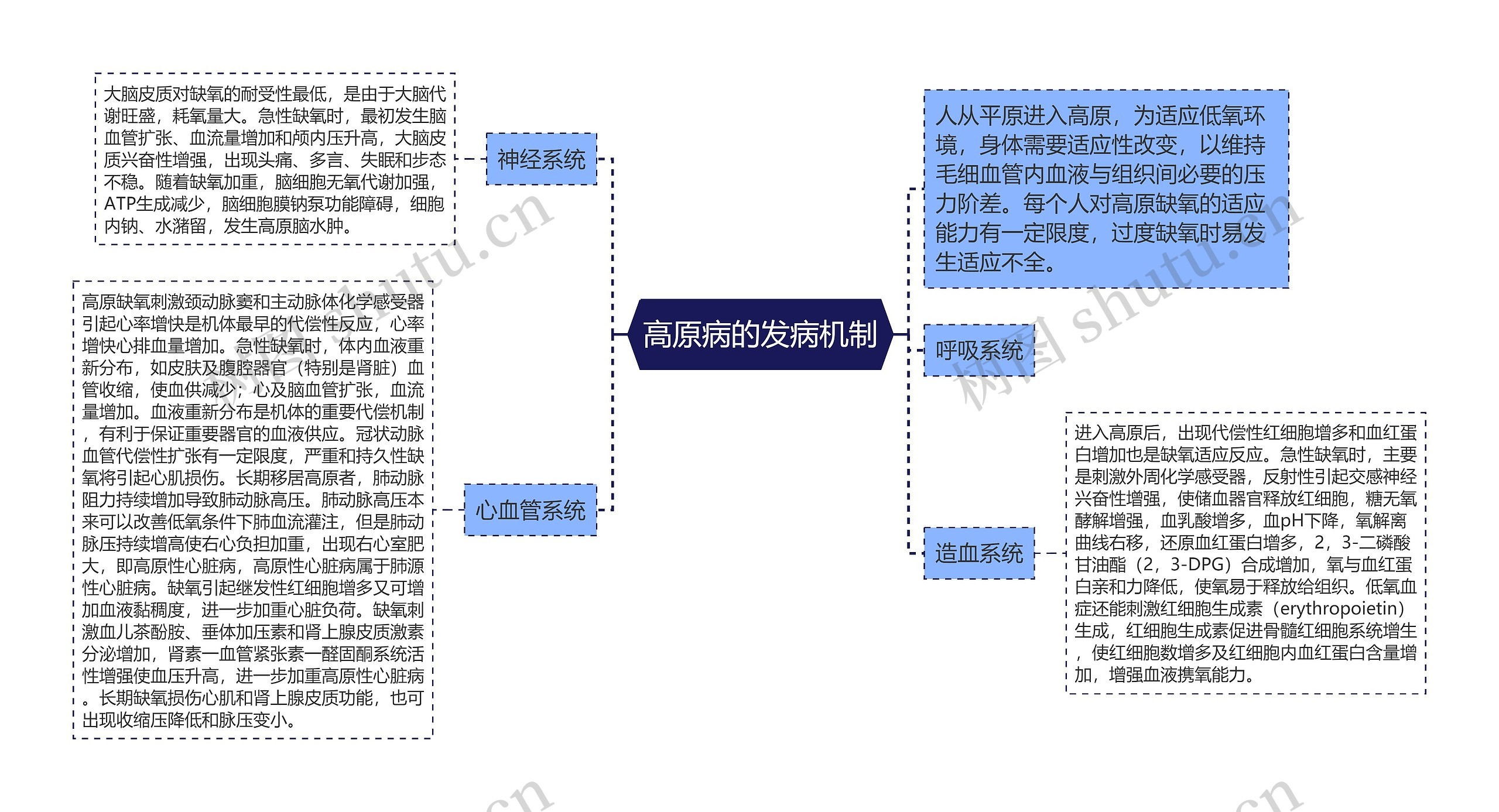 高原病的发病机制思维导图