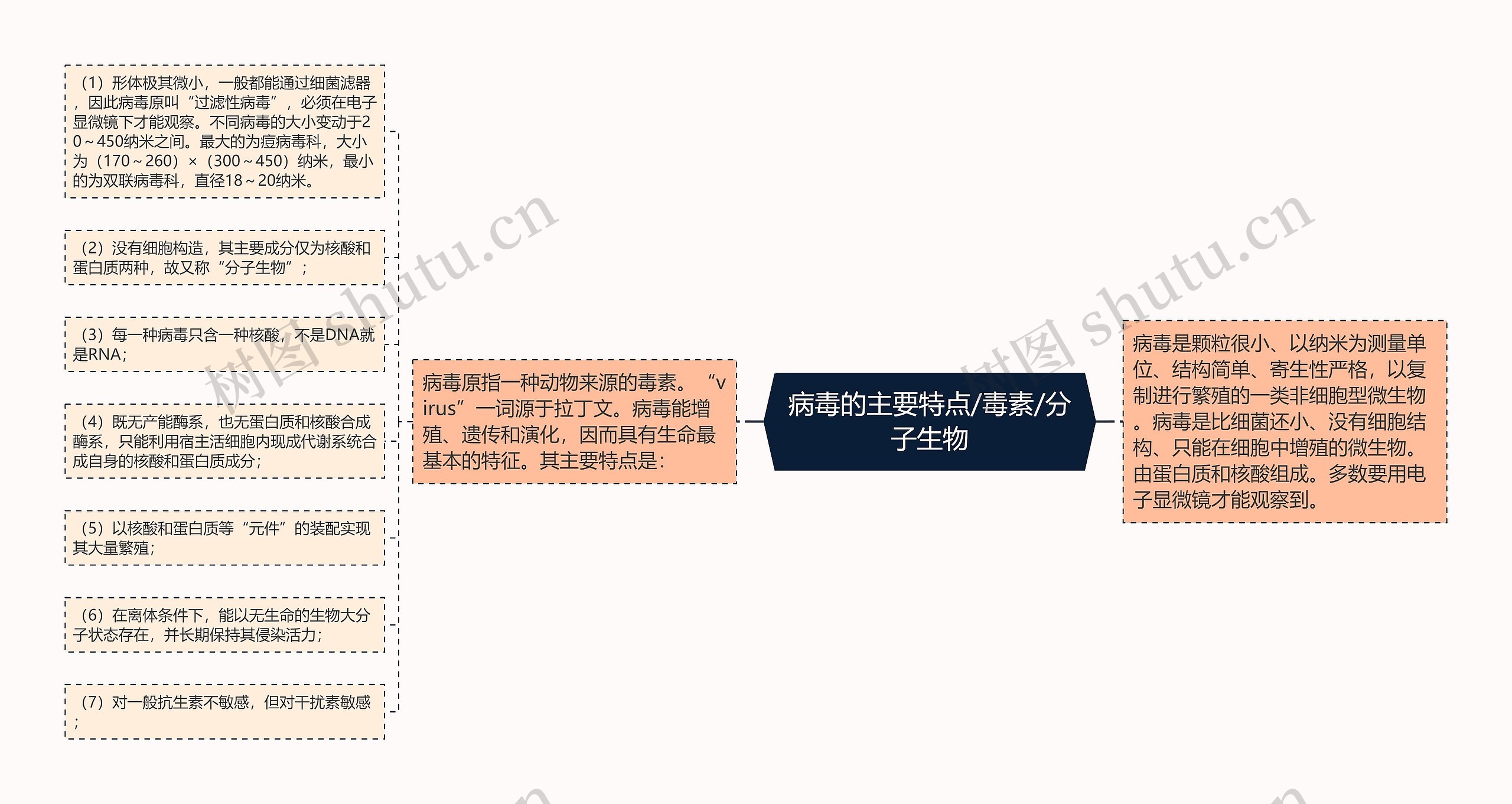 病毒的主要特点/毒素/分子生物思维导图