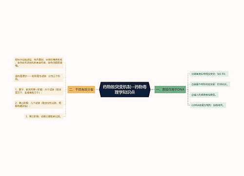 药物致突变机制--药物毒理学知识点