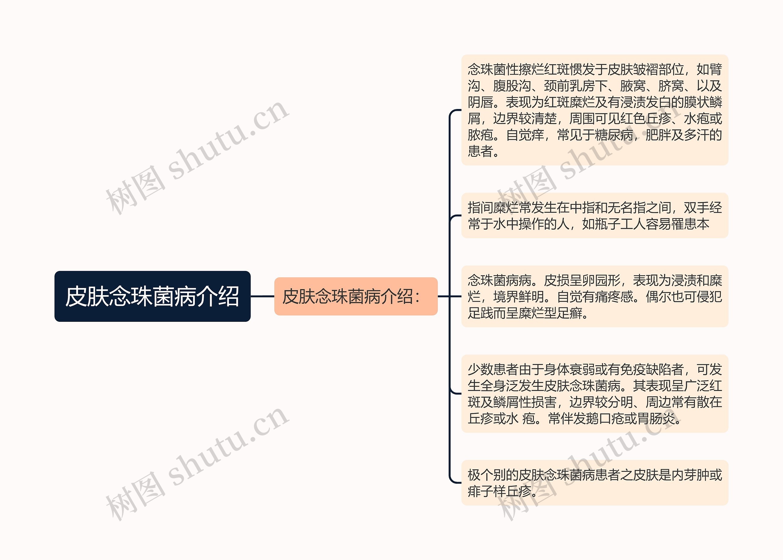 皮肤念珠菌病介绍思维导图