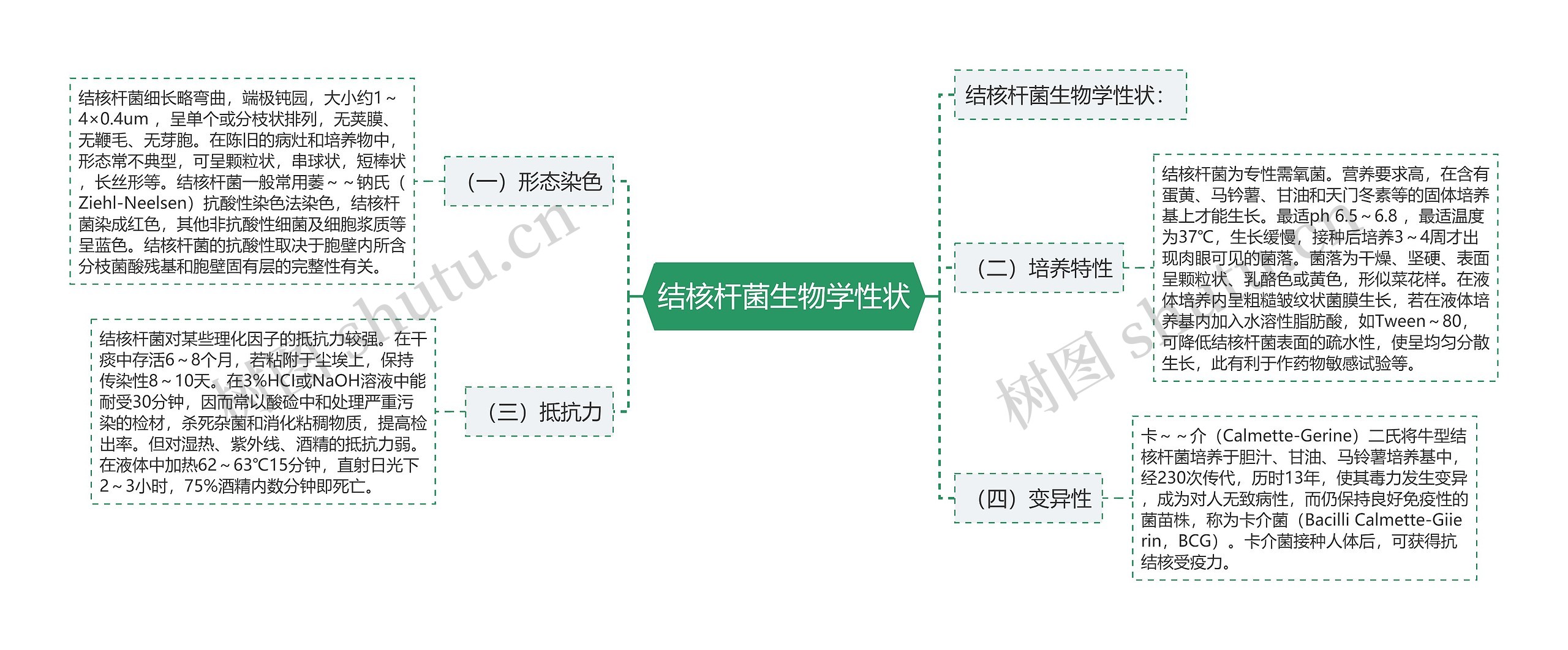 结核杆菌生物学性状