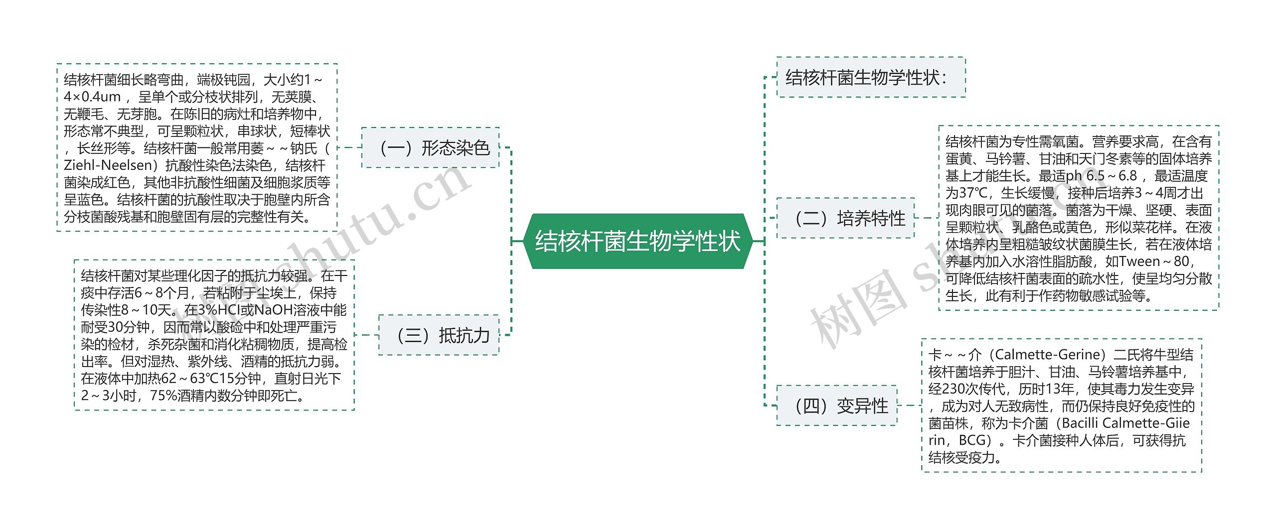 结核杆菌生物学性状思维导图