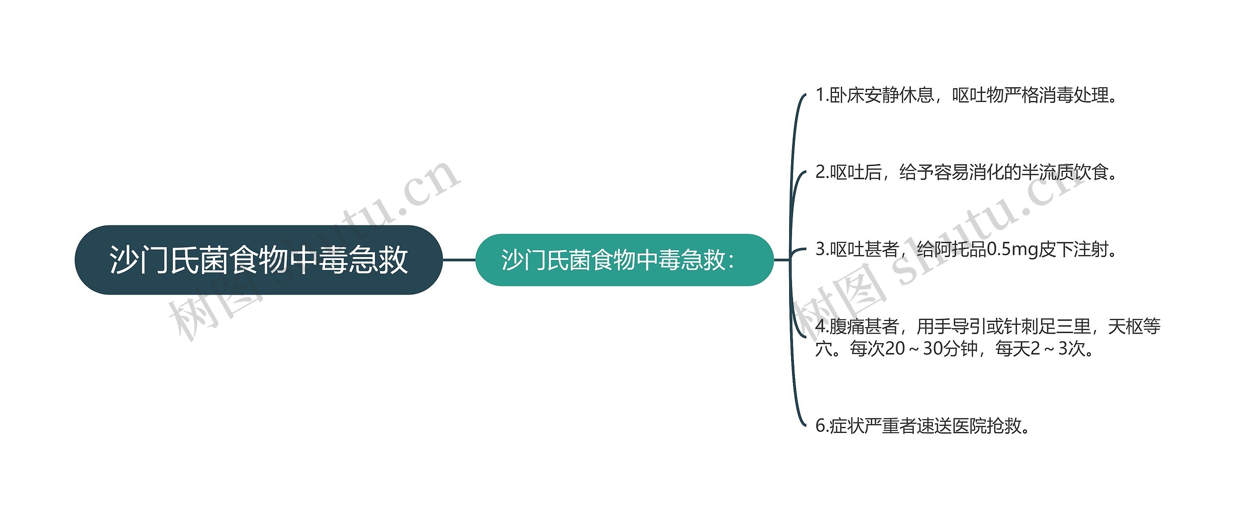 沙门氏菌食物中毒急救思维导图