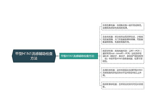 甲型H1N1流感辅助检查方法