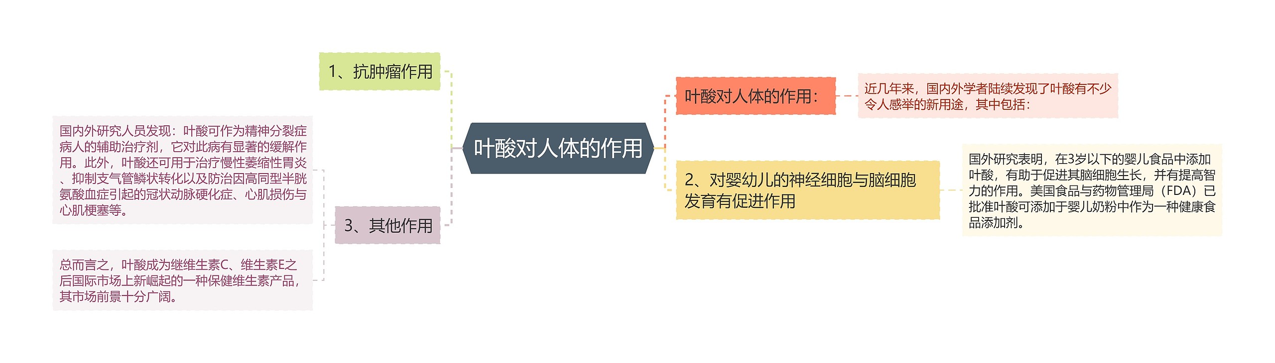 叶酸对人体的作用思维导图