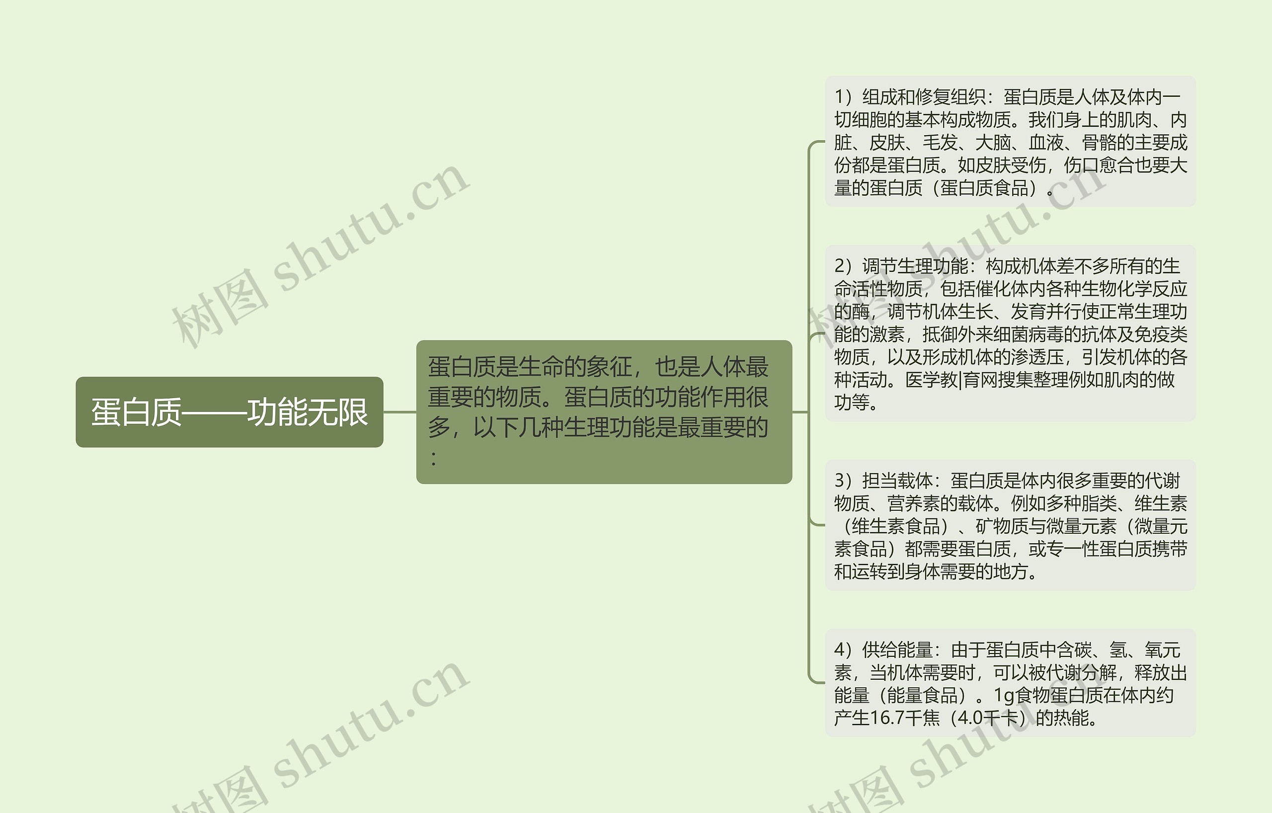 蛋白质——功能无限 蛋白质——功能无限