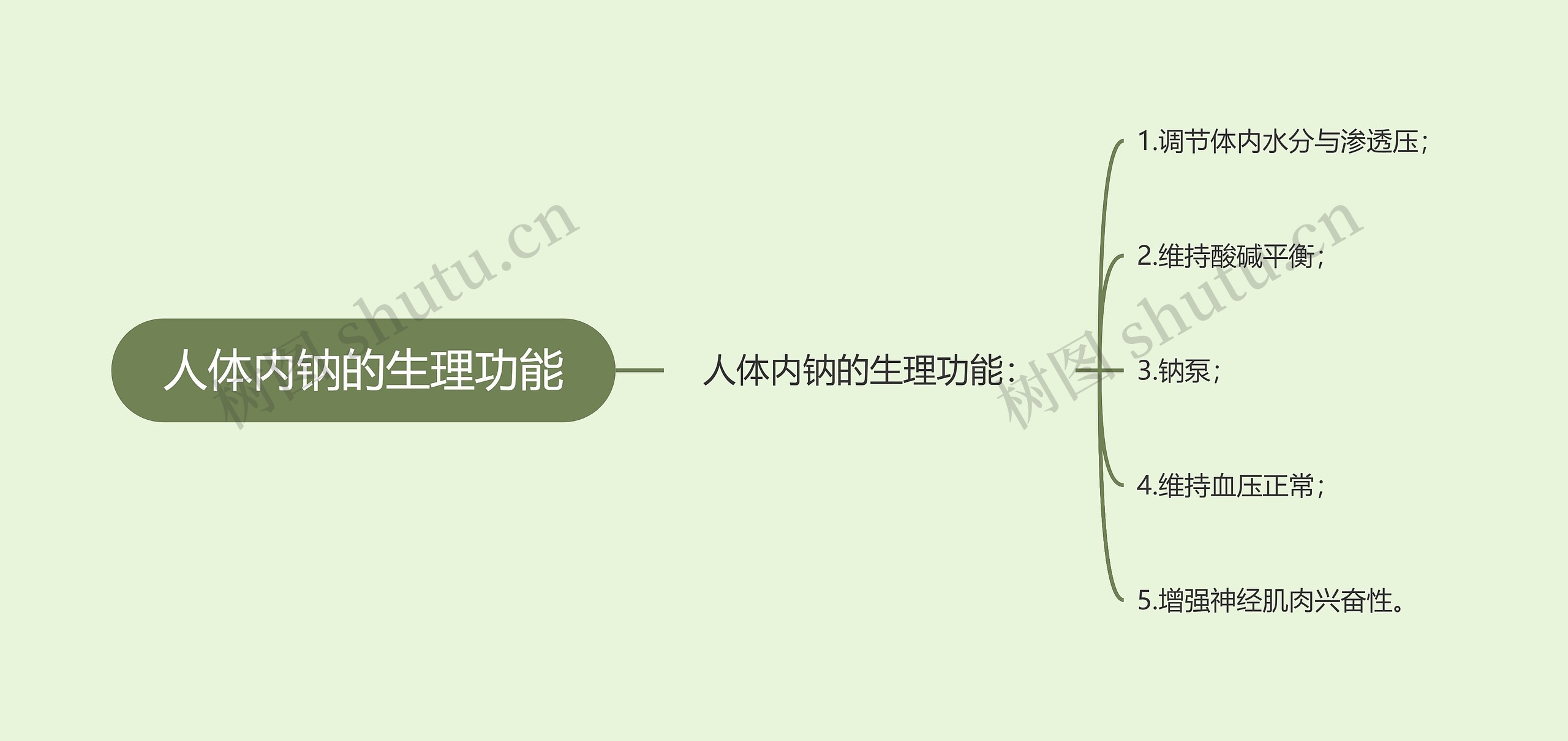 人体内钠的生理功能思维导图