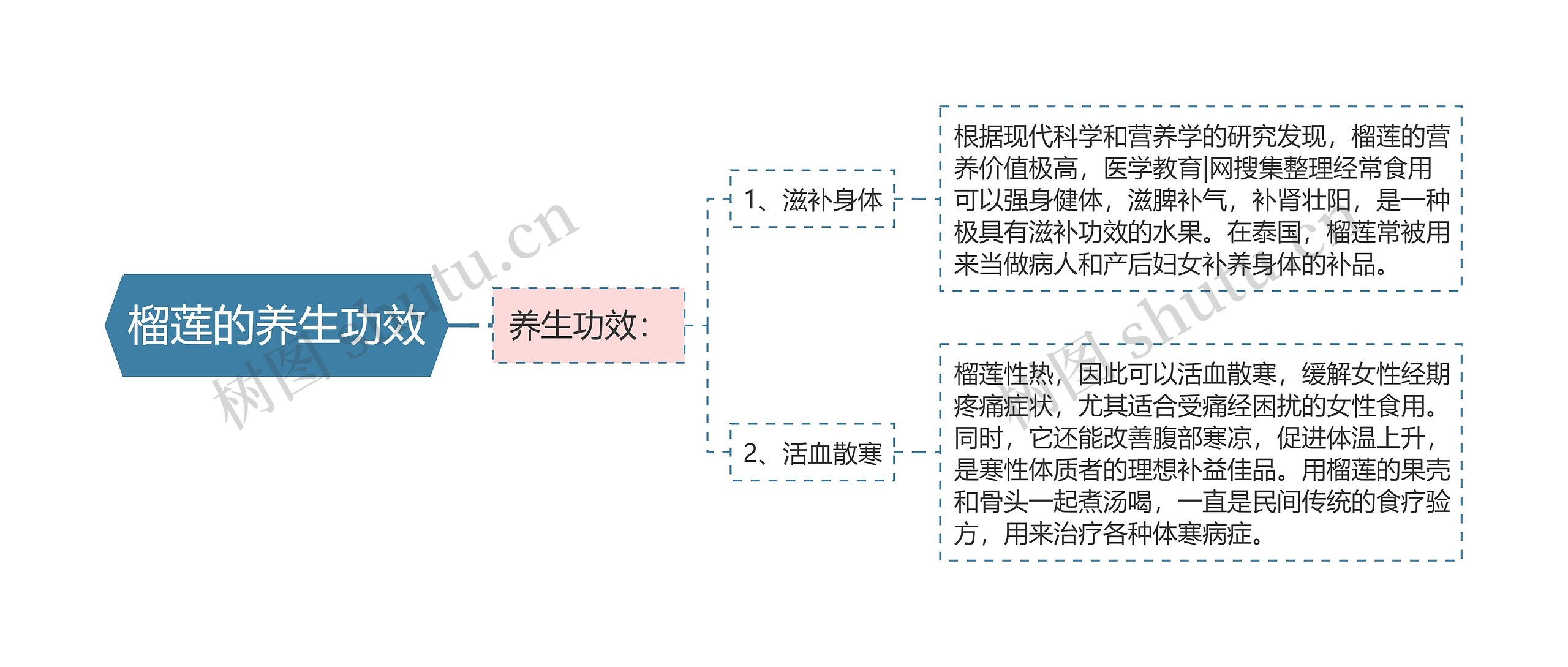 榴莲的养生功效思维导图