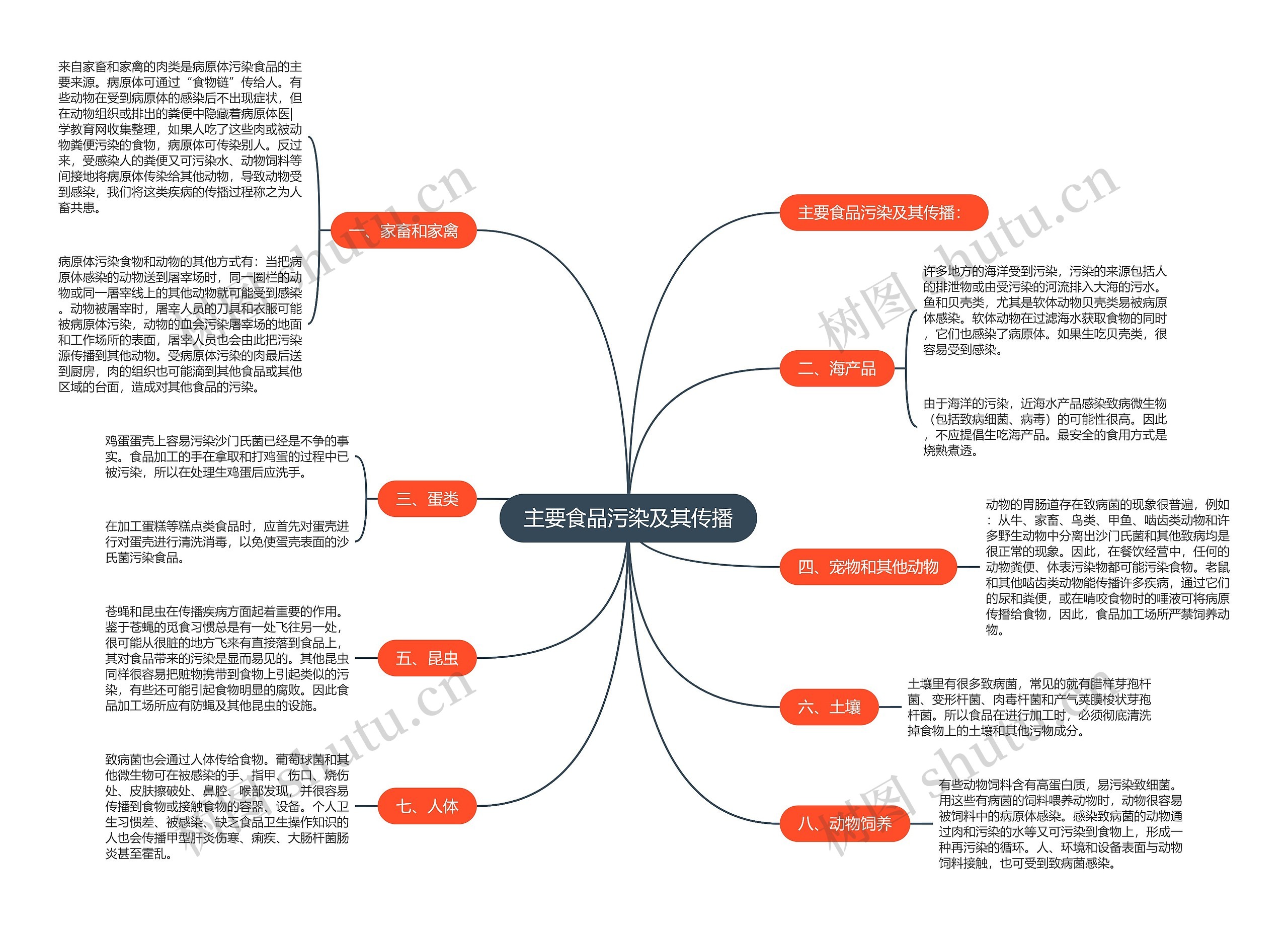 主要食品污染及其传播思维导图