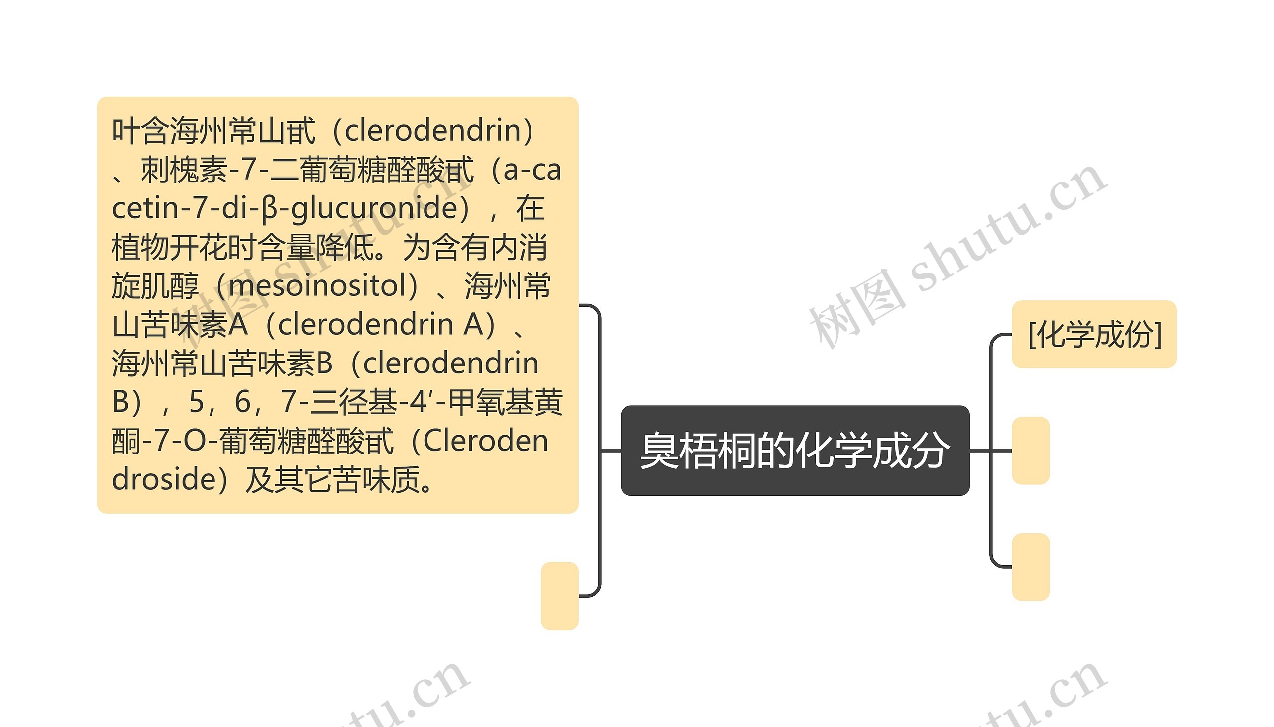 臭梧桐的化学成分